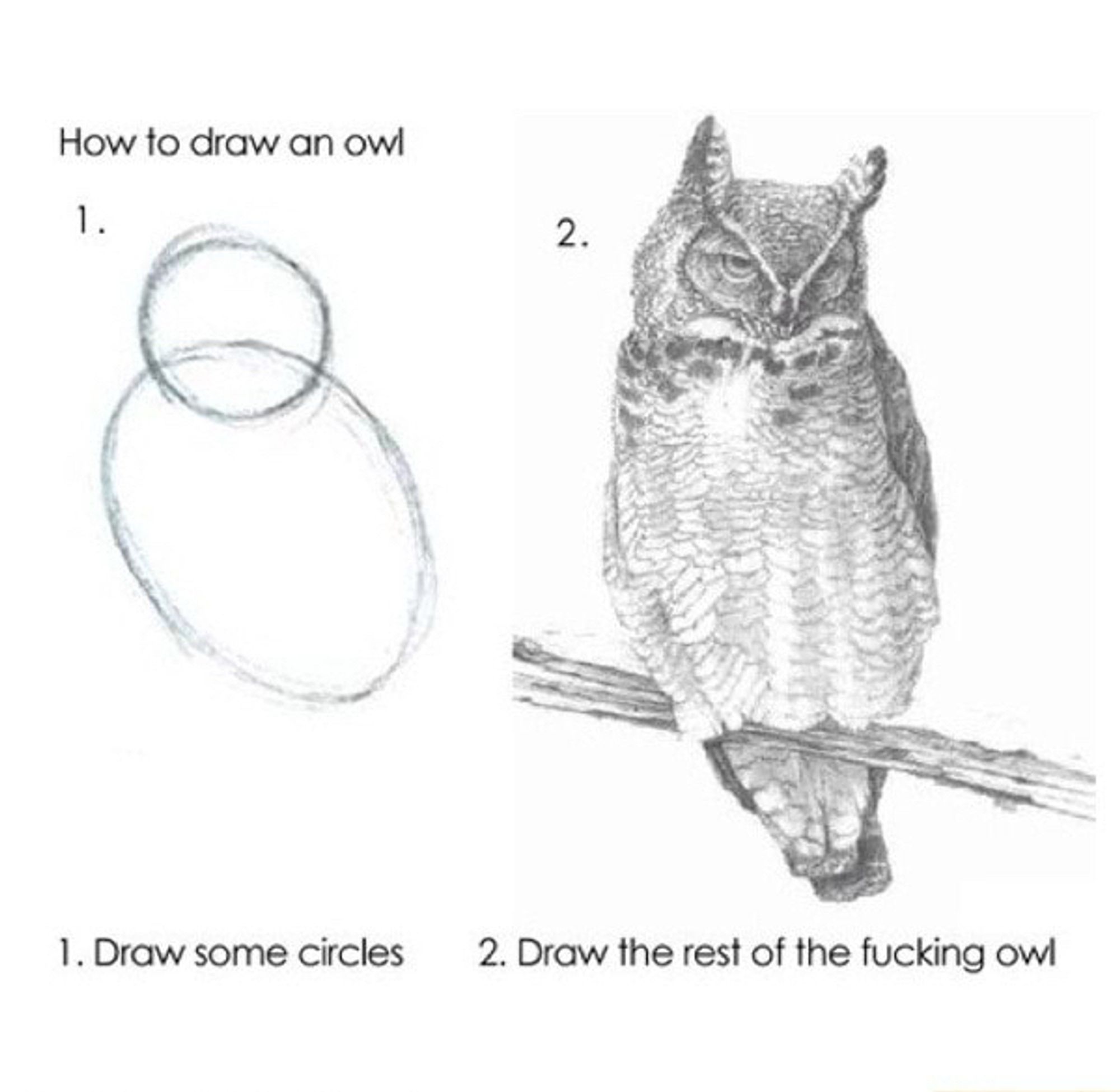 1. Draw some circles
2. Draw the rest of the fucking owl