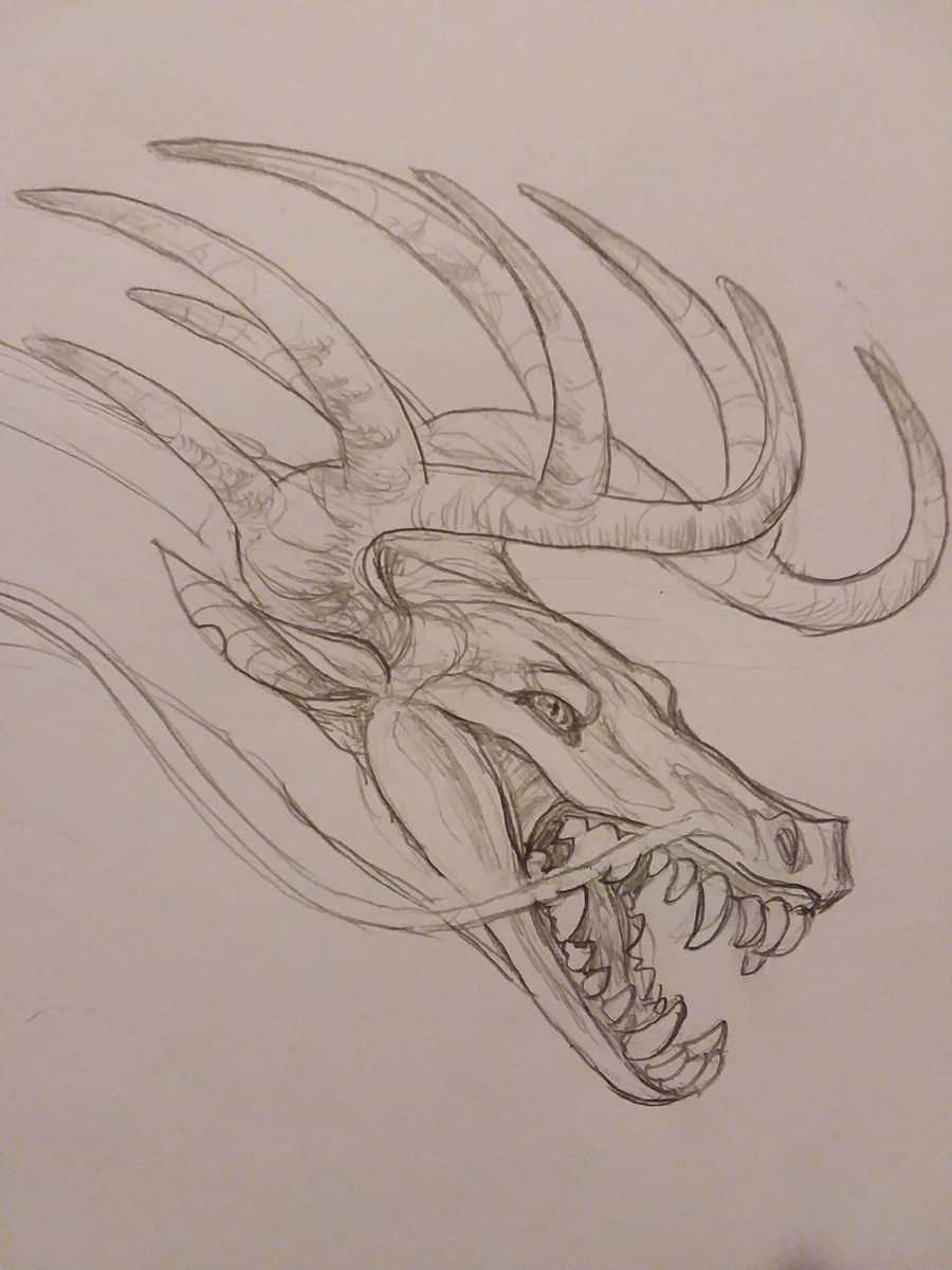 Pencil sketch of a growling dragon's head. Its large antlers curve above then back.