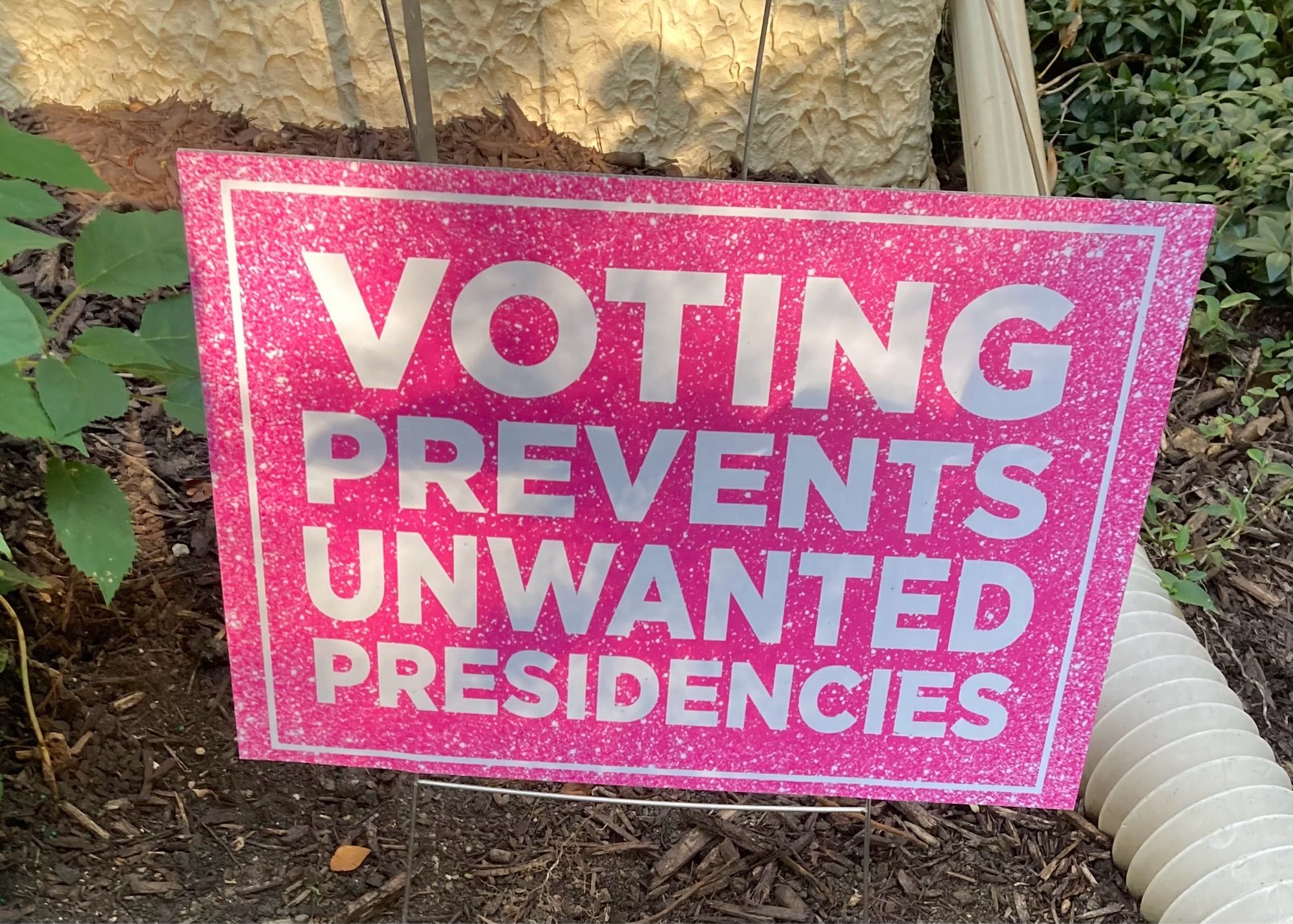 Pink sign with white lettering that says VOTING PREVENTS UNWANTED PRESIDENCIES