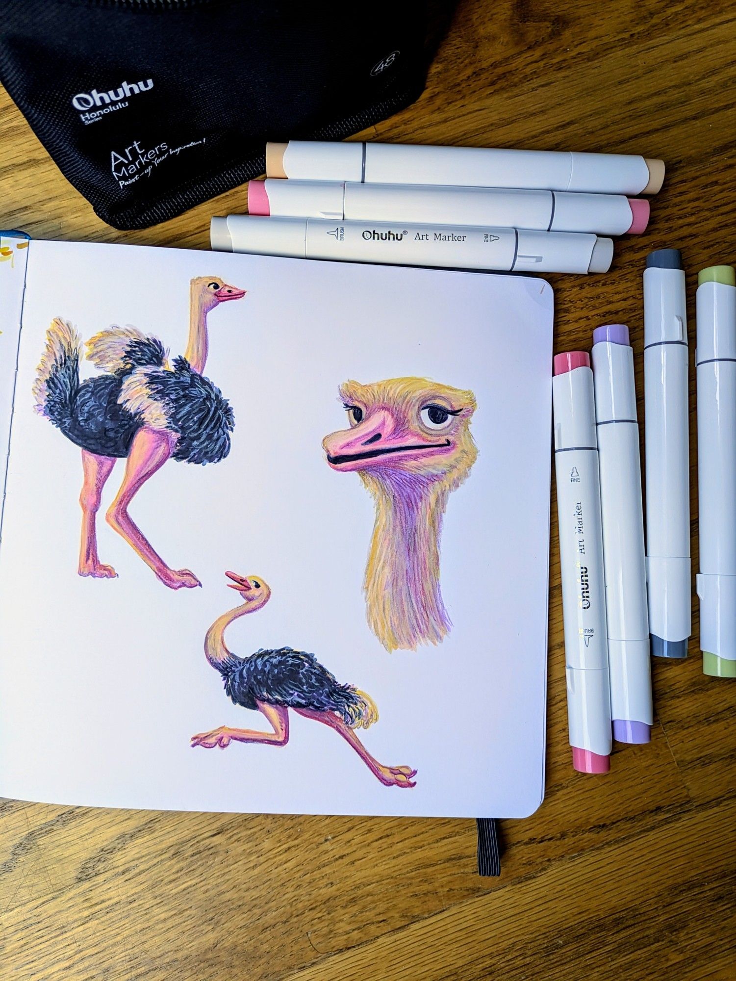 Traditional illustrations of ostriches made with markers and colored pencils.