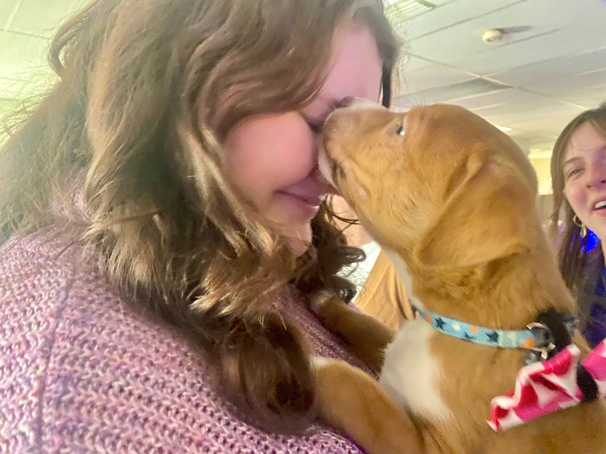 Poppy kissing a Puppygram recipient.