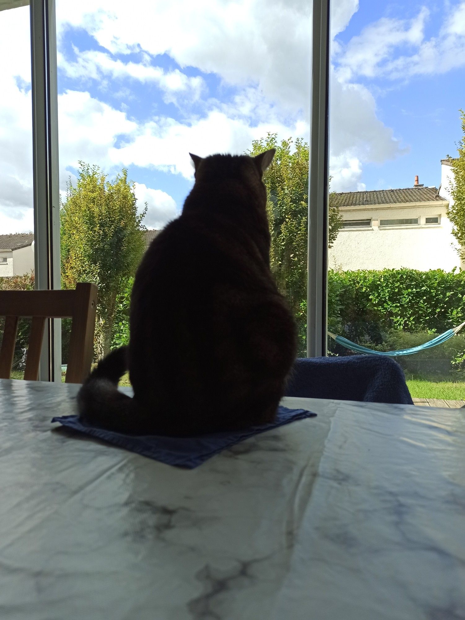 Malice, à contre jour, assise sur un mouchoir en tissu, sur la table dont la nappe doit être froide.