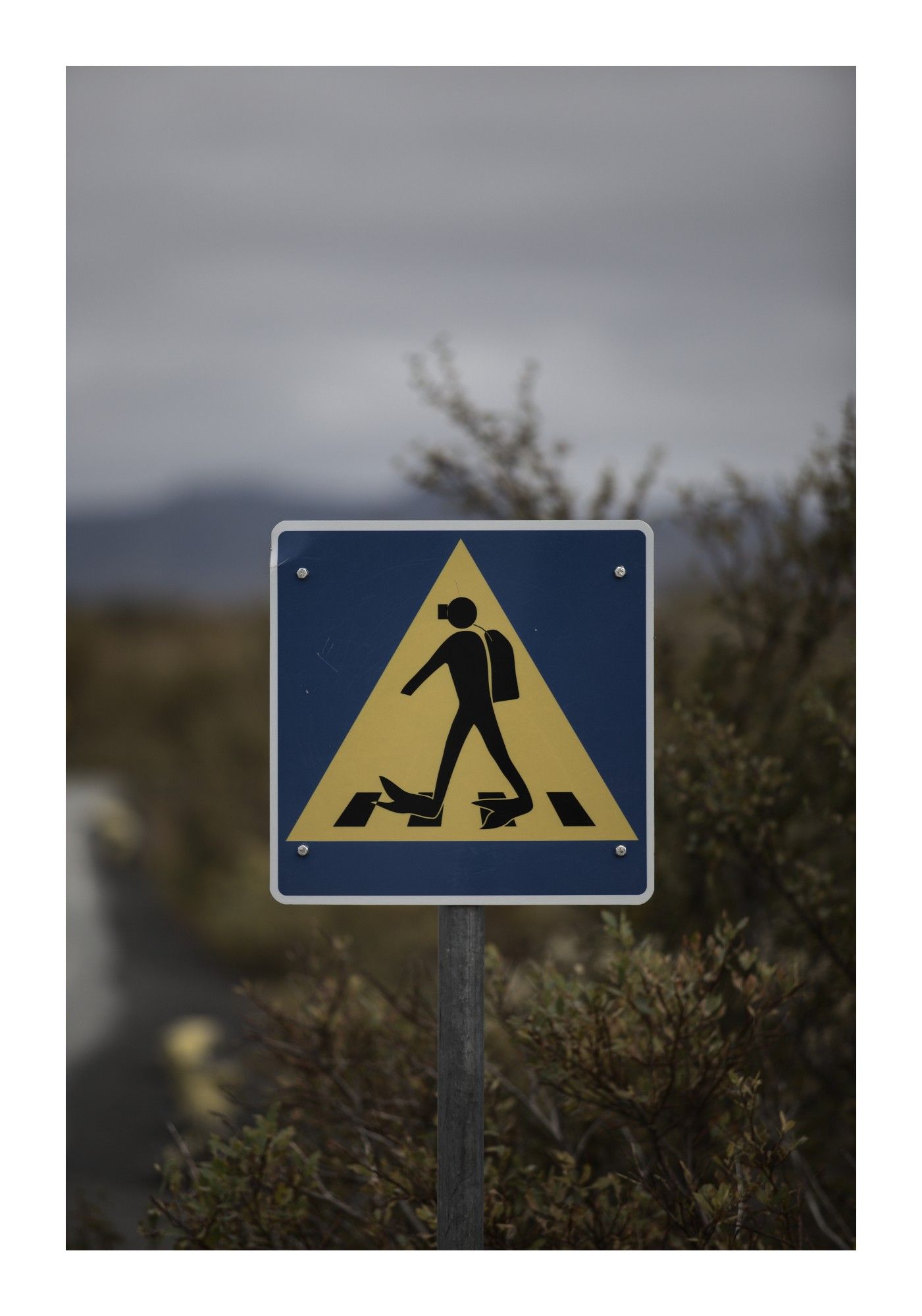 A blue and yellow pedestrian crossing sign features a twist: instead of a typical walking figure, a scuba diver is depicted crossing the road, complete with tank and flippers. The playful sign is set against a natural background, with blurred foliage and cloudy skies adding atmosphere.