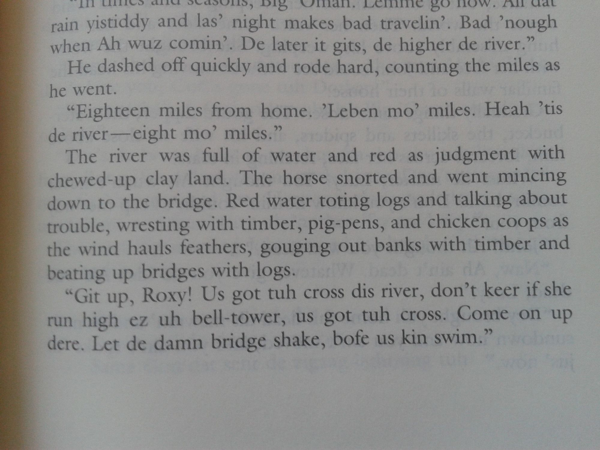 'The river was full of water and red as judgment with chewed-up clay land. The horse snorted and went mincing down to the bridge. Red water toting logs and talking about trouble, wresting with timber, pig-pens, and chicken coops as the wind hauls feathers, gouging out banks with timber and beating up bridges with logs.'
Zora Neale Hurston, Jonah's Gourd Vine