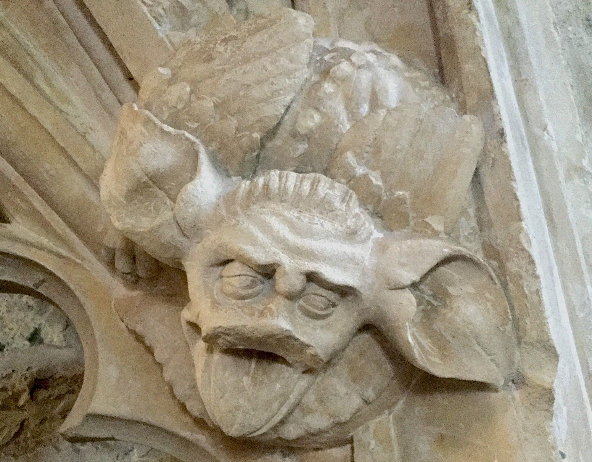 A winged grotesque with floppy ears and a weary face, carved in the 1300s on the canopy of a tomb at Winchelsea, East Sussex.