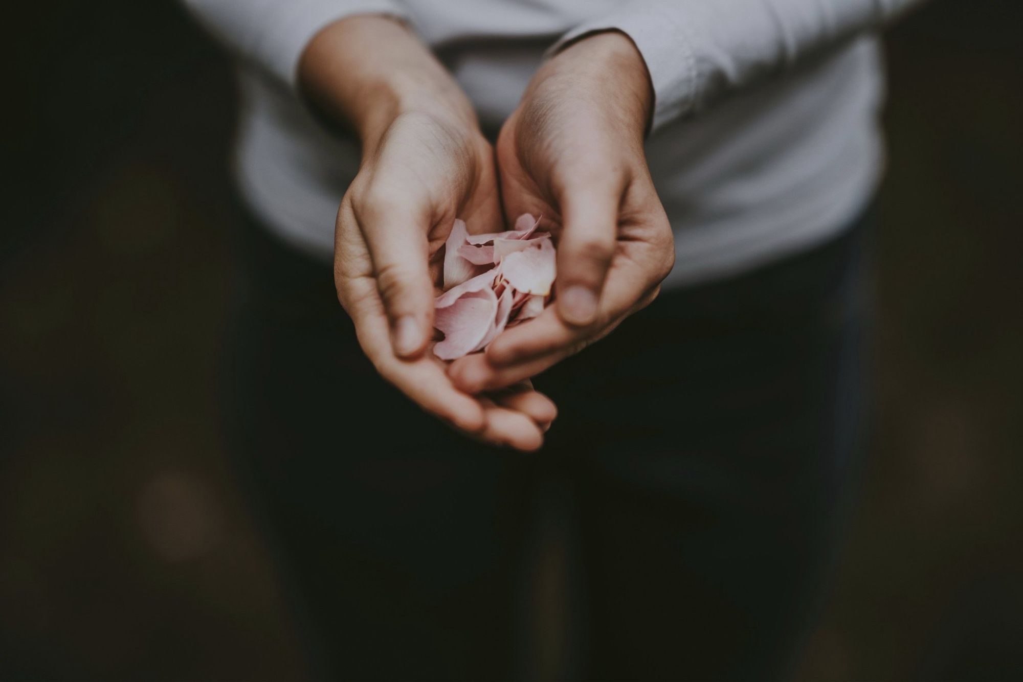 Photo of two hands cupping flower petals. From Unsplash