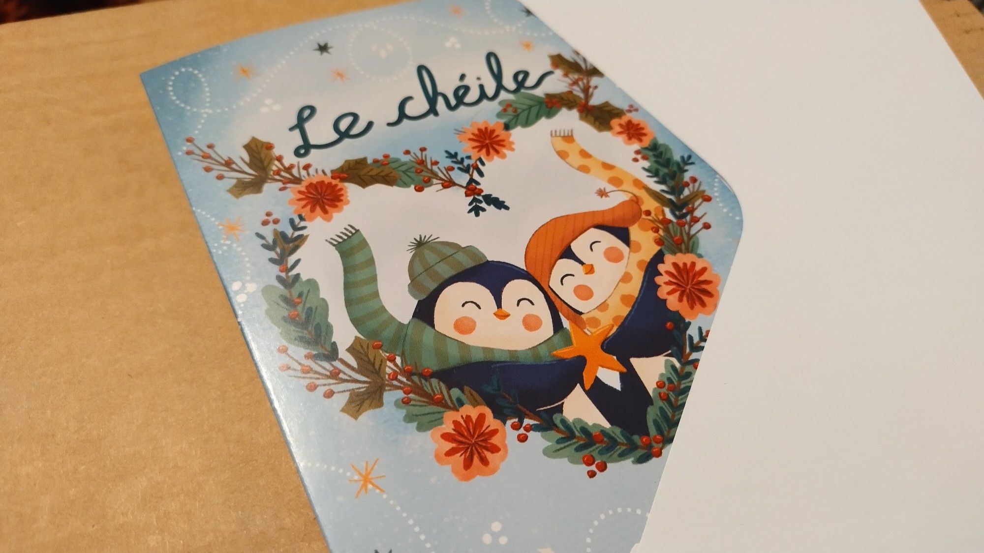 Christmas card with two cosy penguins wearing hats and scarves. Says 'Le chéile' on top.