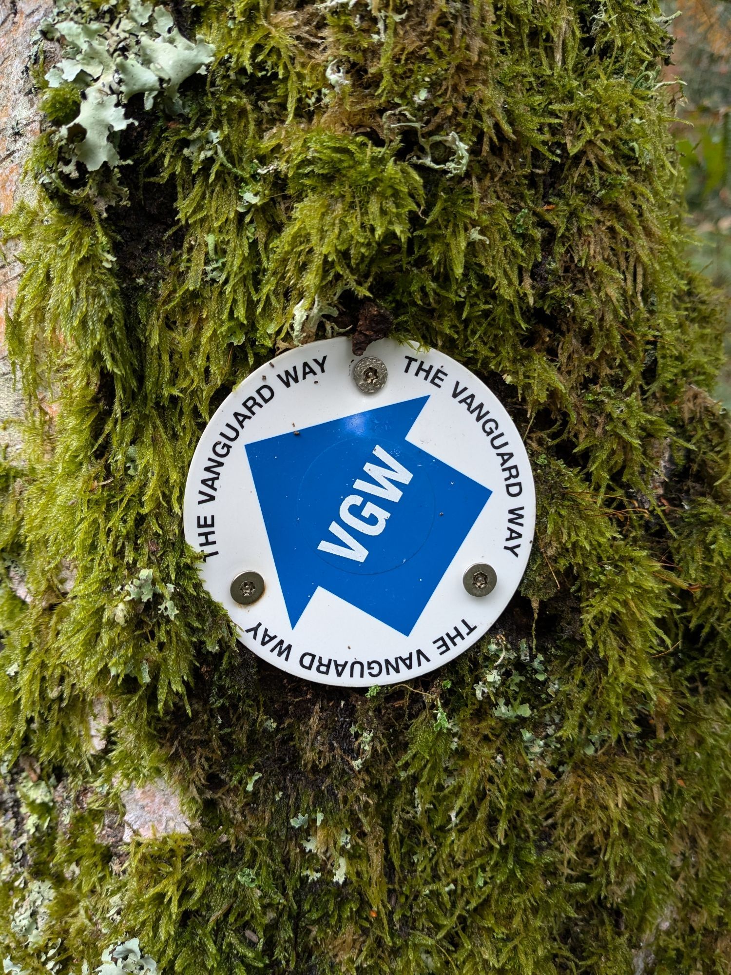 Vanguard way fingerpost on mossy tree