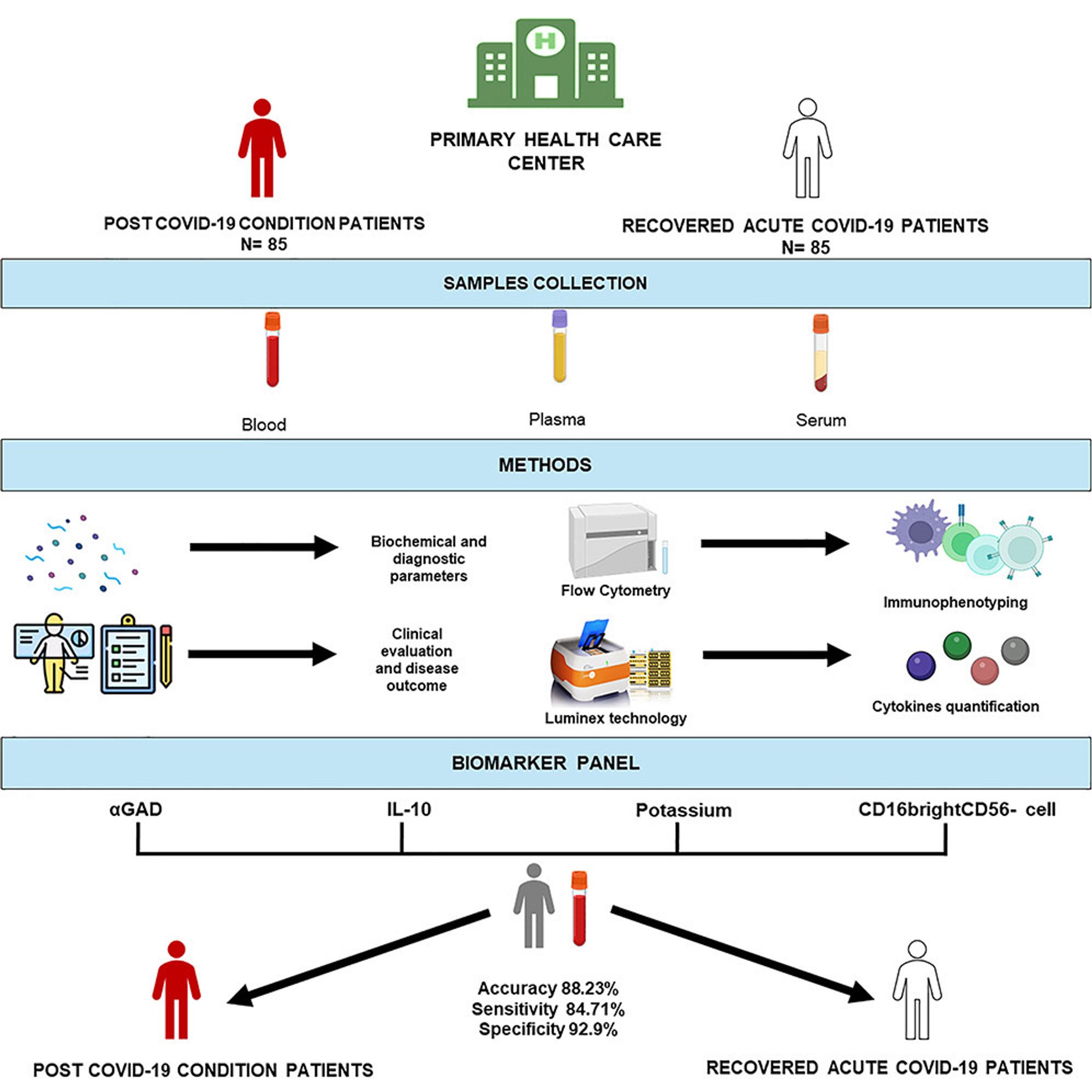 Graphical abstract