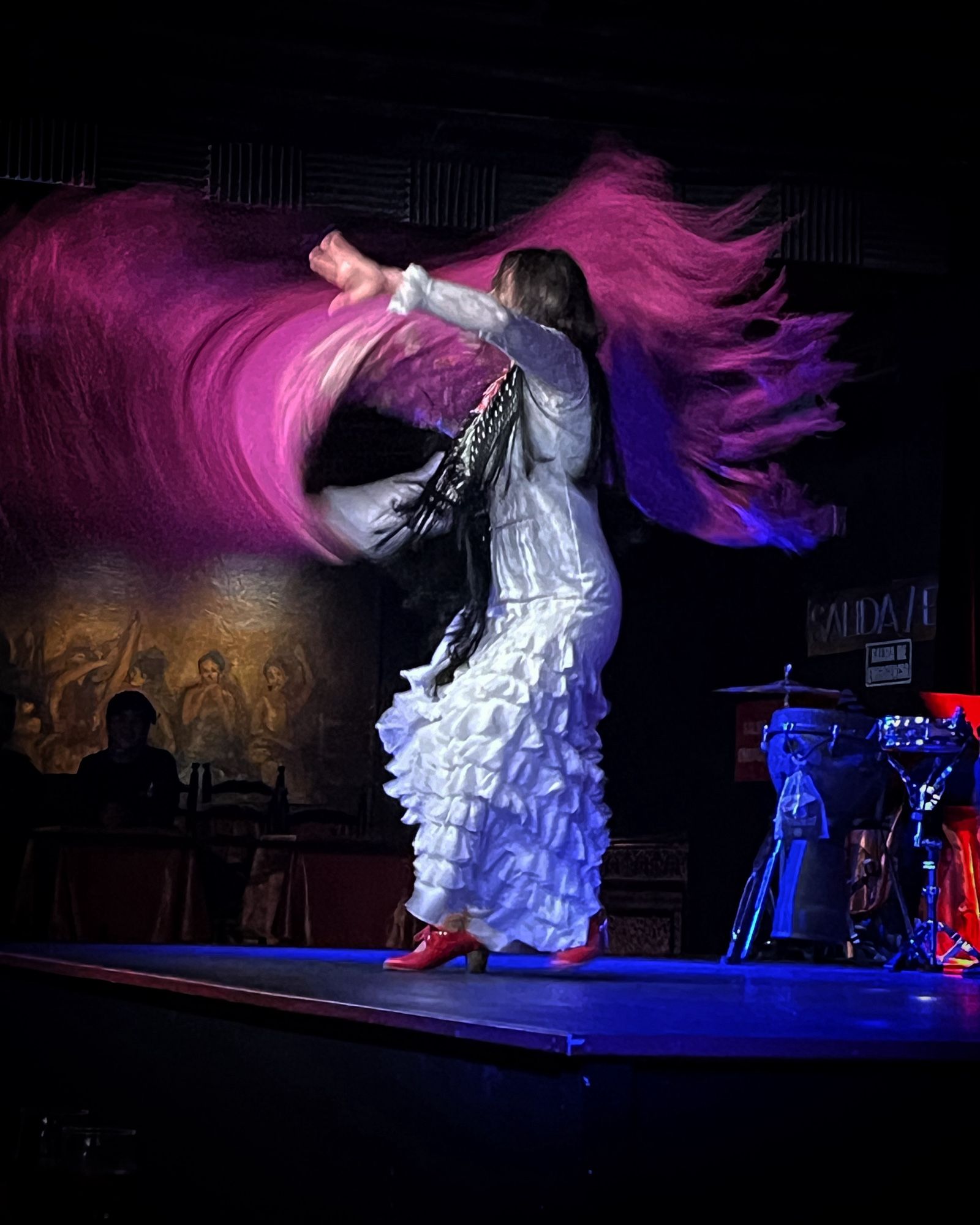 Flamenco dancer with brush stroke scarf