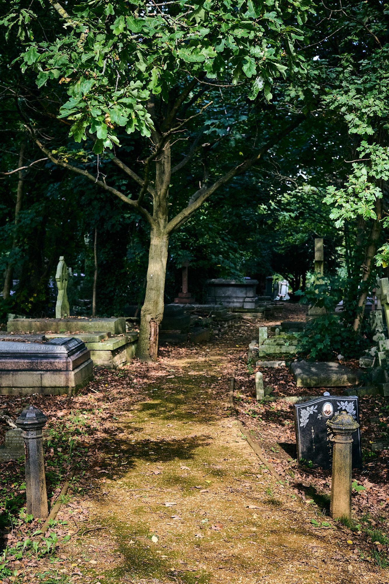 A path leading into the depths of West Norwood Cemetery, London