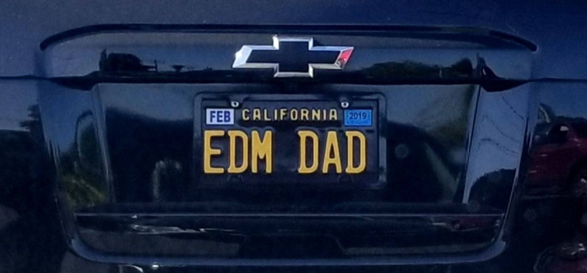 EDM DAD license plate