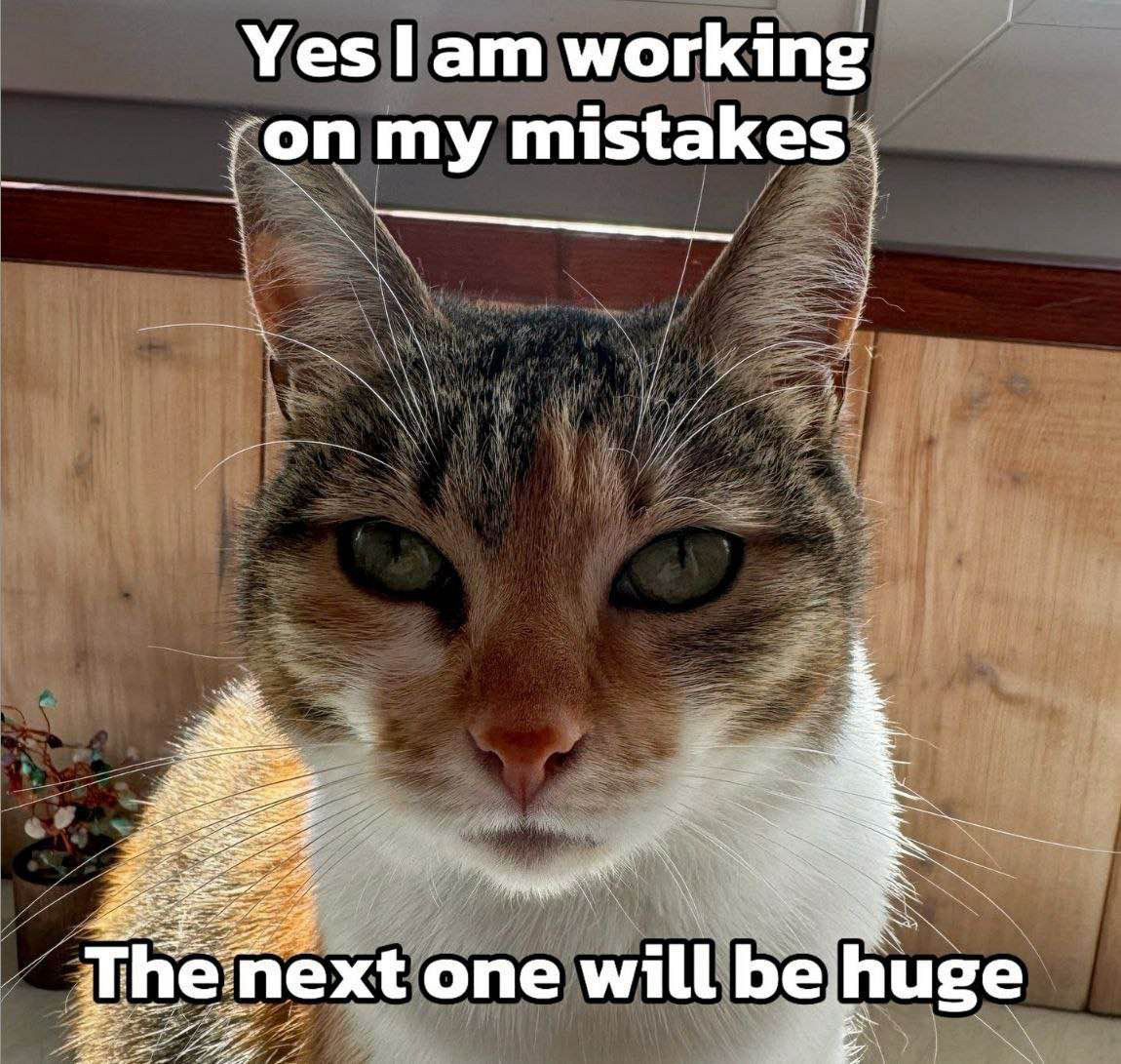 Picture of a cat. Top text says,” yes I am working on my mistakes.“

Bottom text says, “the next one will be huge. “