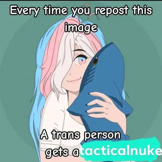 A drawing of an anime-esque girl smiling at the viewer. She's wearing a white shirt, has hair dyed in the trans flag colors (white, pink, cyan) and is hugging a Blahaj plushie (the IKEA shark). The caption reads "Every time you repost this image, a trans person gets a tacticalnuke", with the word "tacticalnuke" obviously inserted to replace some other word that was there before.