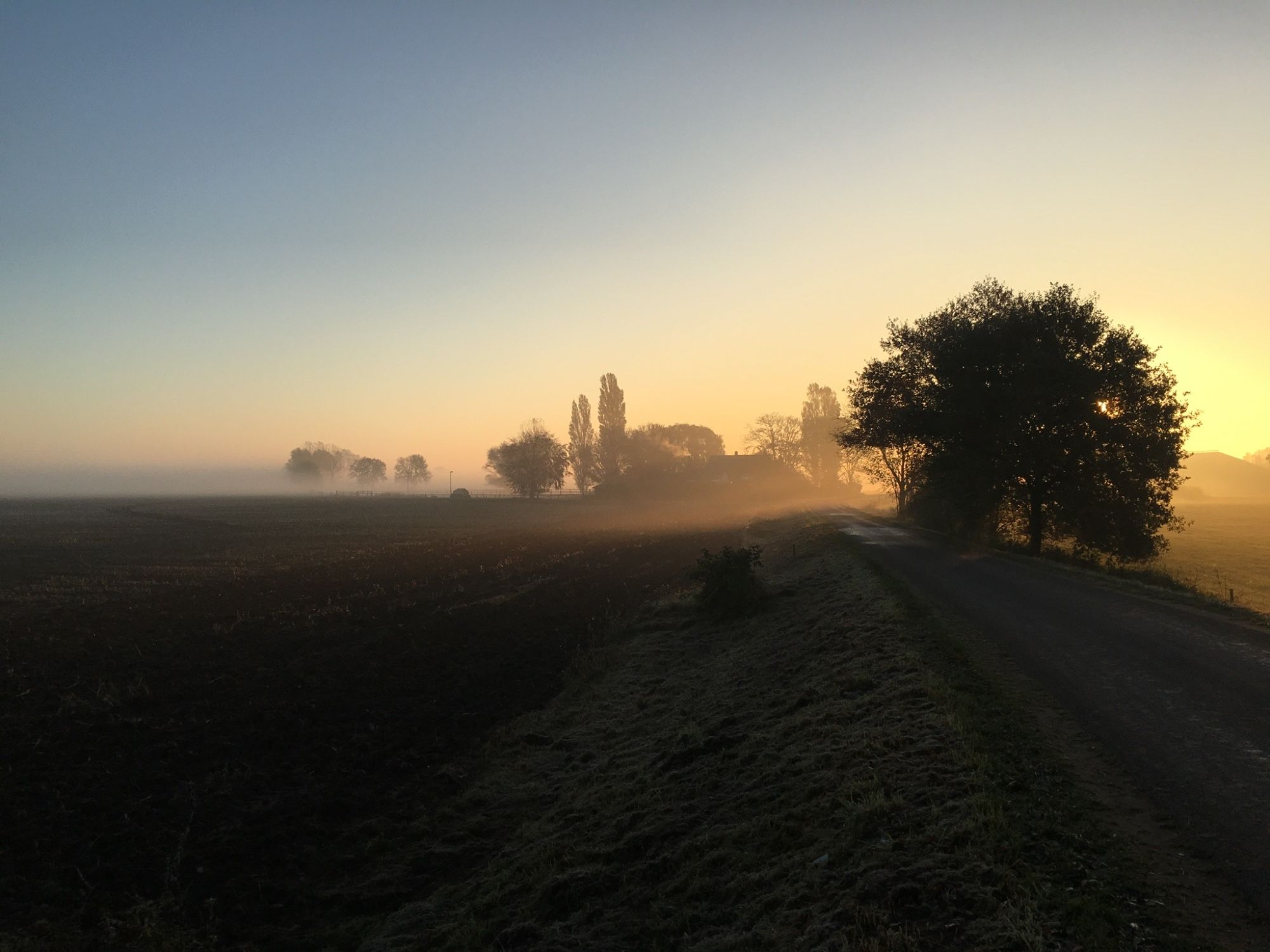 Wilpse Klei in de ochtend.