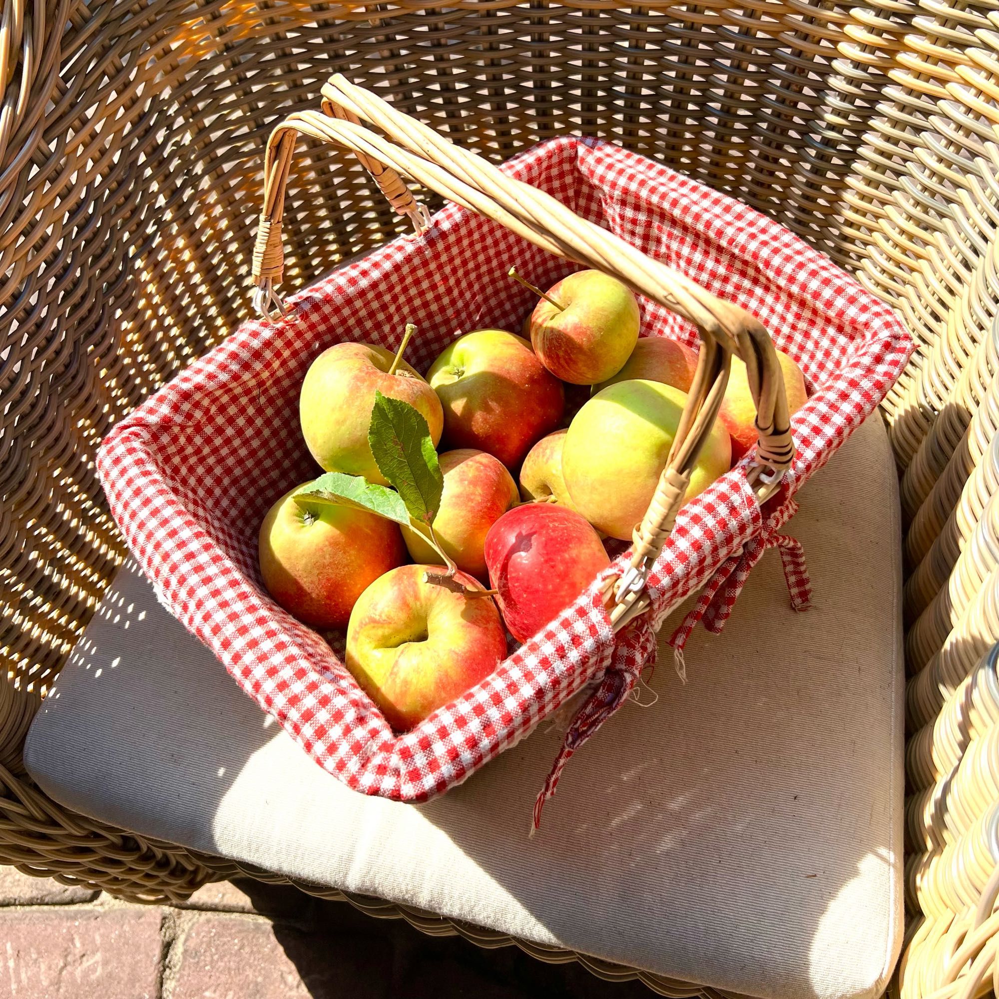 Een maand vol appels, geplukt in de tuin.