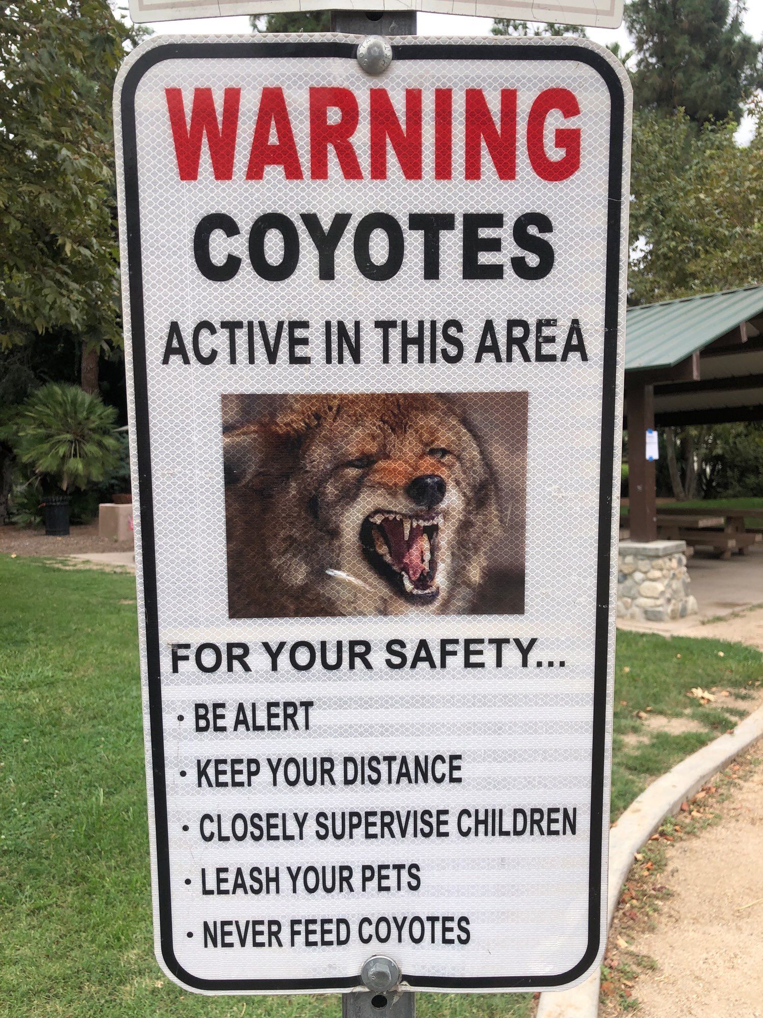 Close up on coyote sign. WARNING COYOTES ACTIVE IN THIS AREA - FOR YOUR SAFETY... BE ALERT, KEEP YOUR DISTANCE, CLOSELY SUPERVISE CHILDREN, LEASH YOUR PETS, NEVER FEED COYOTES