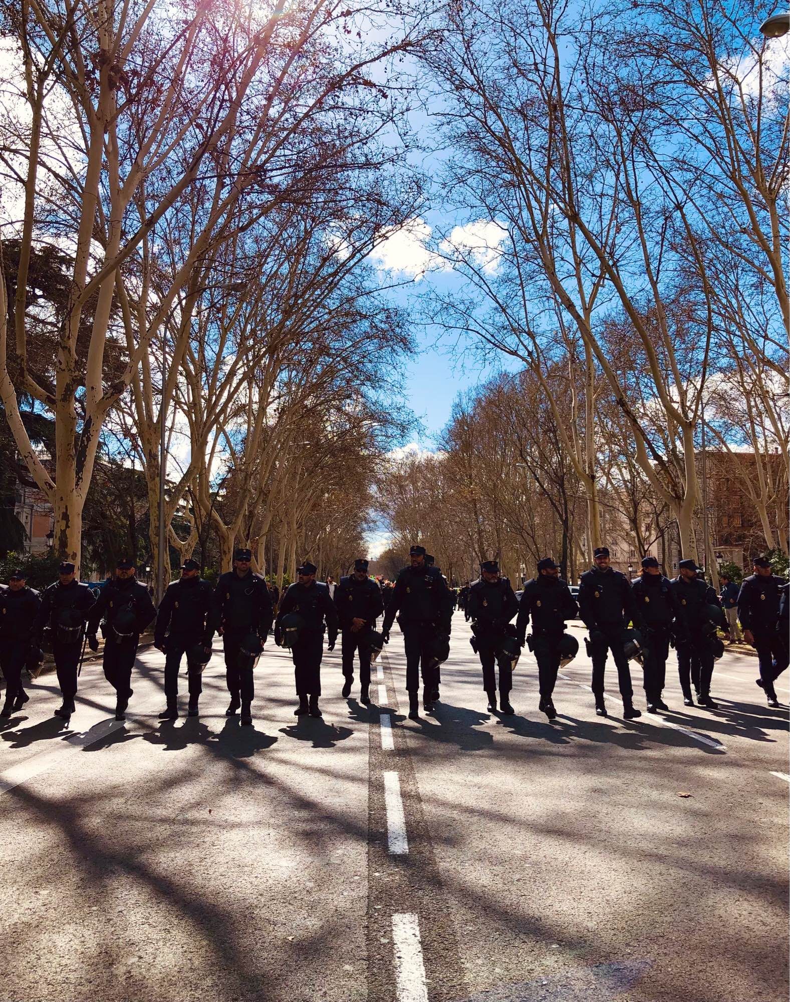 A long line of armed police walking down a tree lined road.