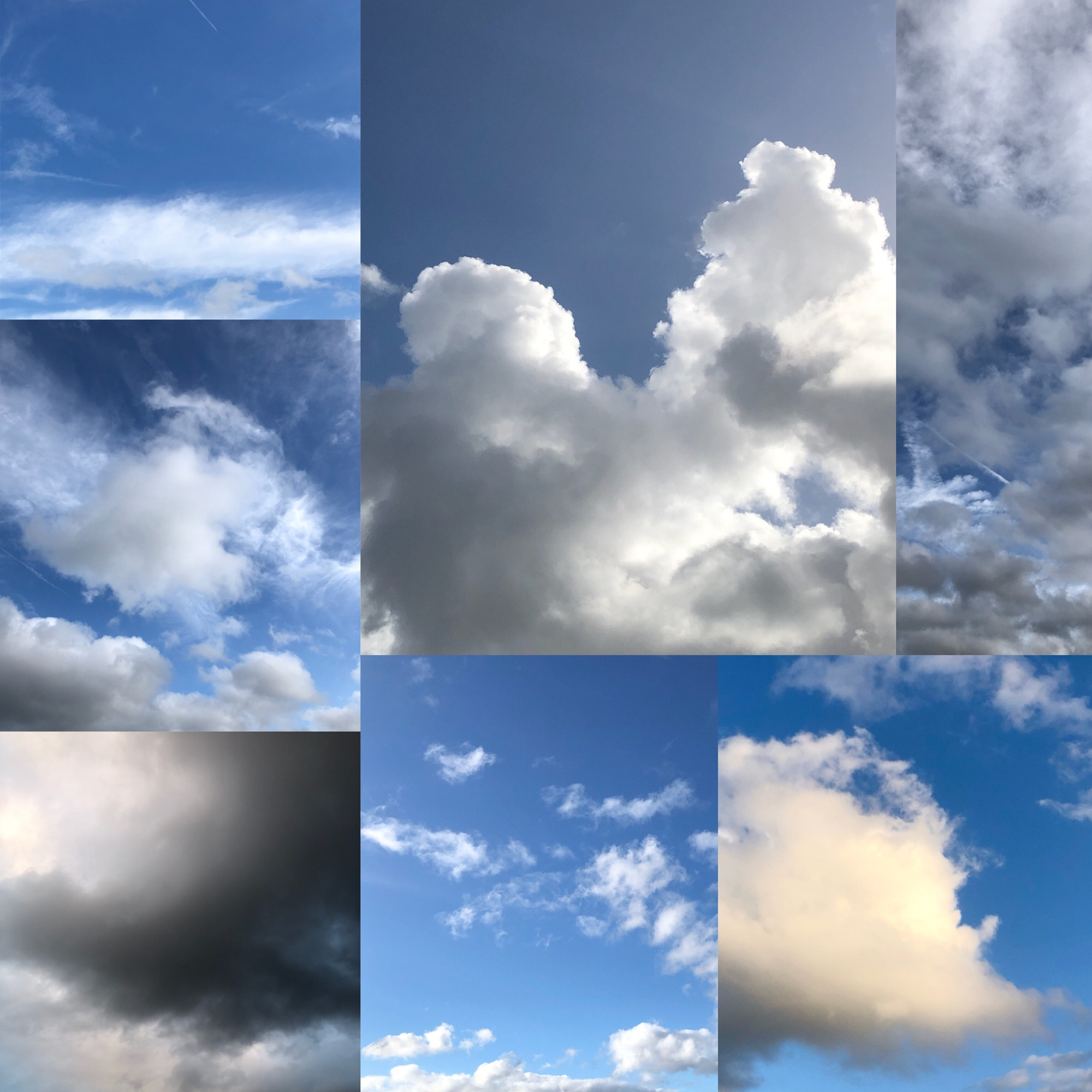 Composite photo of seven different cloud photos, one taken each day this week.
A cloud diary.