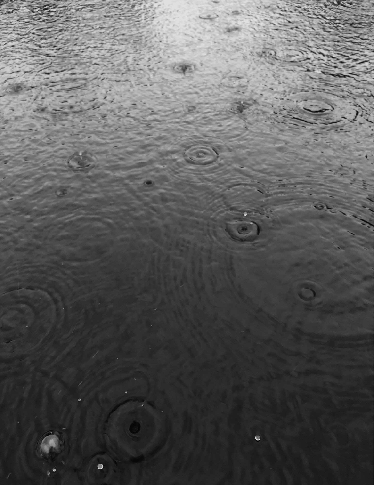 A large puddle with rain falling.