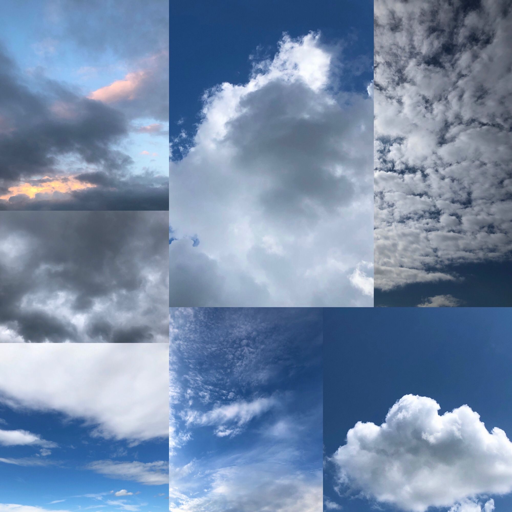 Composite photo of seven different cloud photos, one taken each day this week.
A cloud diary.