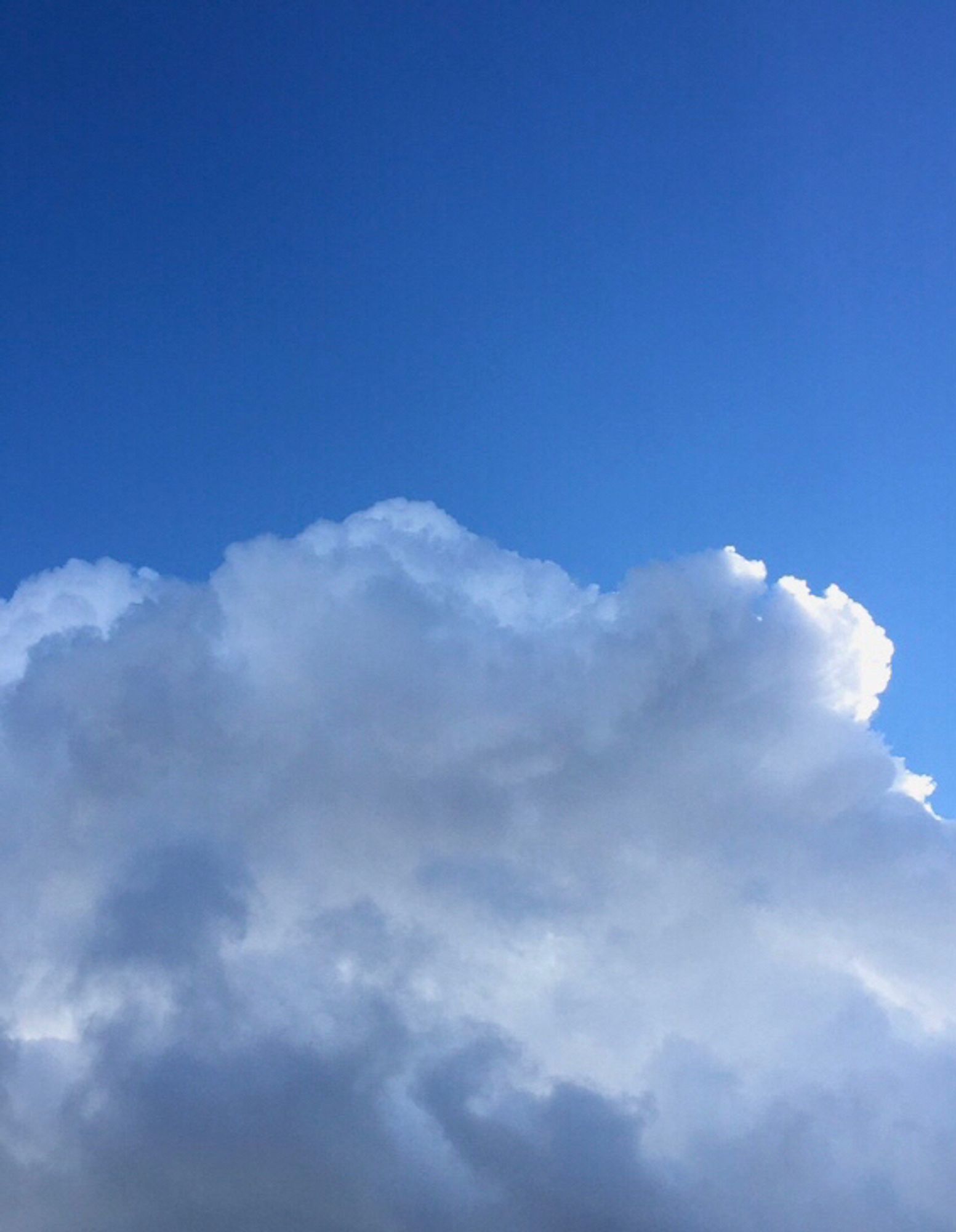 The top of a large cumulus cloud & a blue sky.