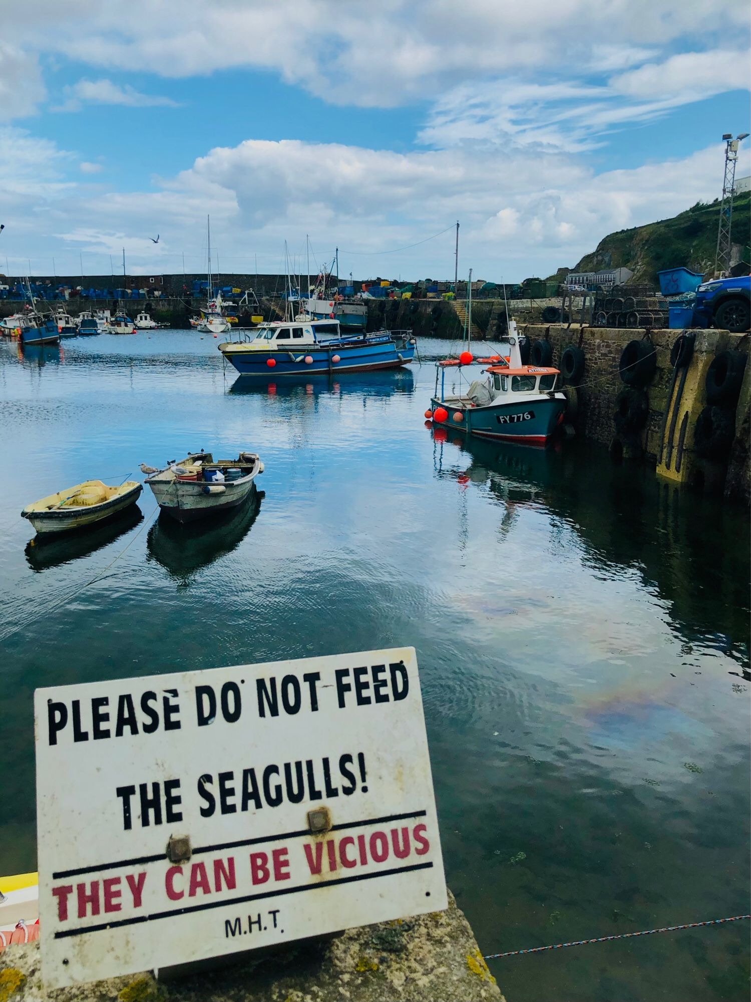 Looking over a harbour to various small boats, a sign reads PLEASE DO NOT FEED THE SEAGULLS! They can be vicious.