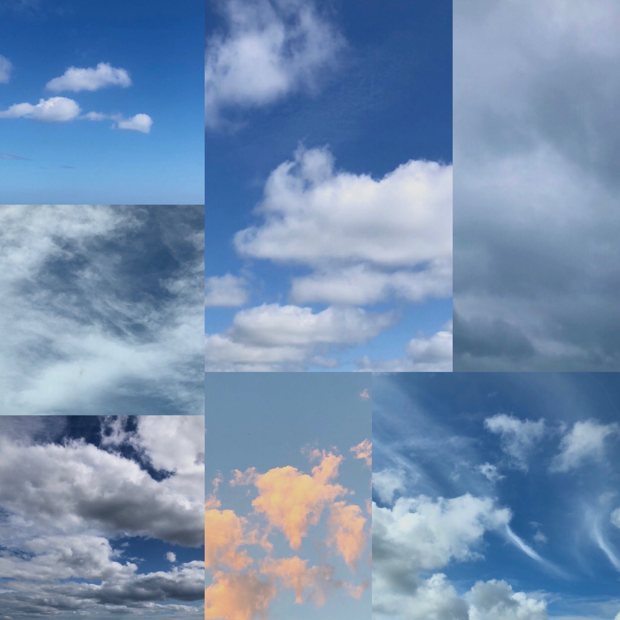 Composite photo of seven different cloud photos, one taken each day this week.
A cloud diary.