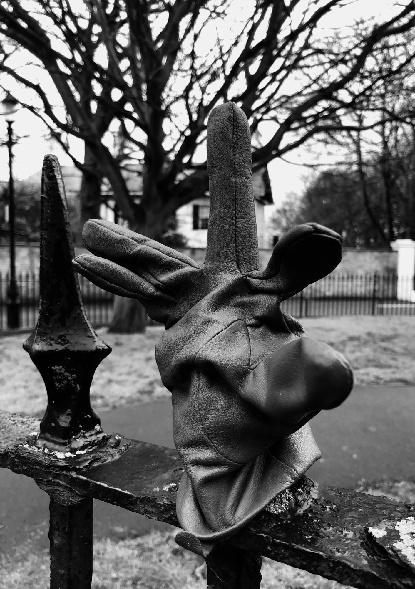 A single lost glove stuck over an iron railing with one finger pushed onto a spike. A bare wintery tree & park behind the railings.