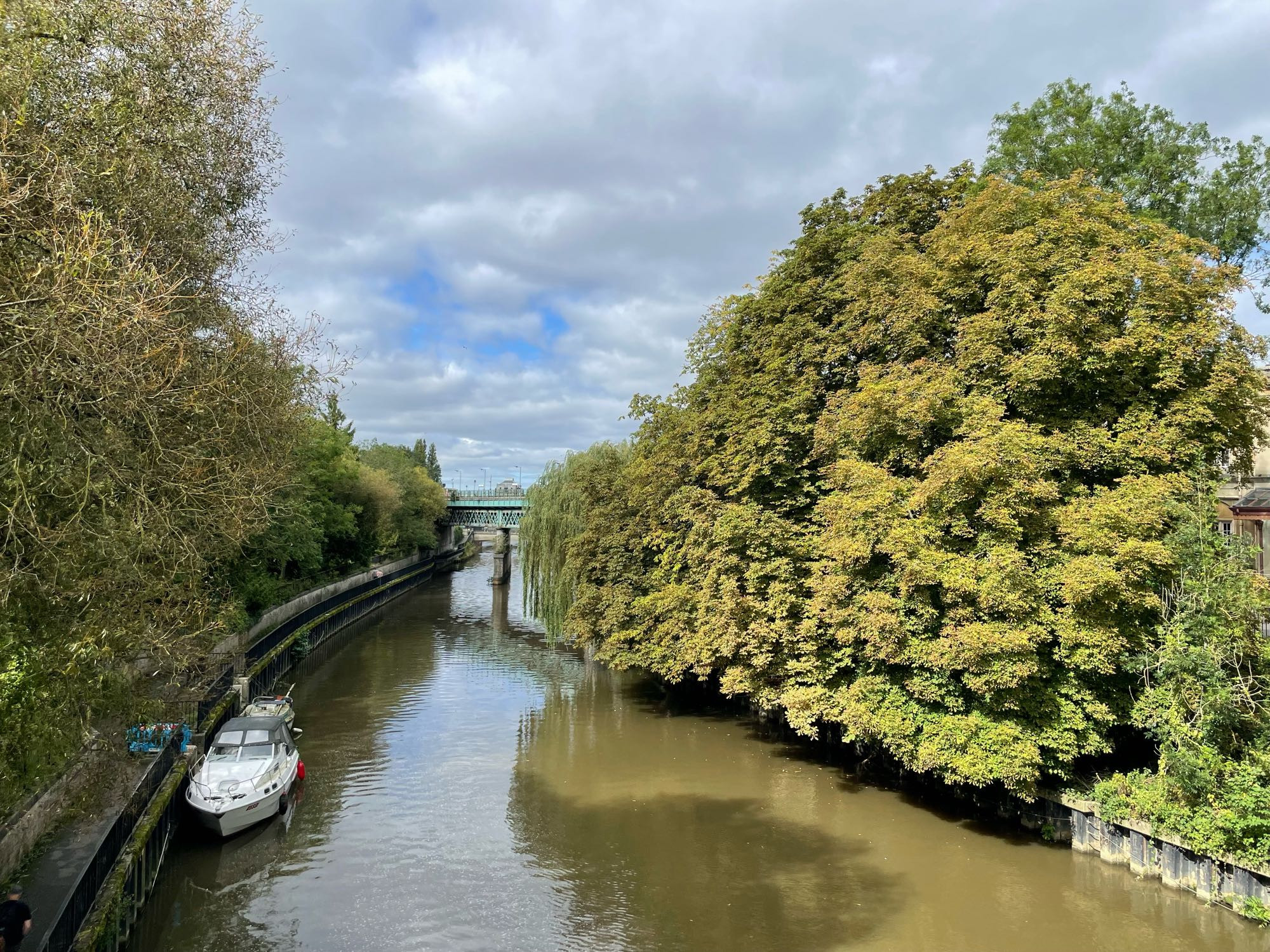 Pic of the river Avon with overhanging lush green trees