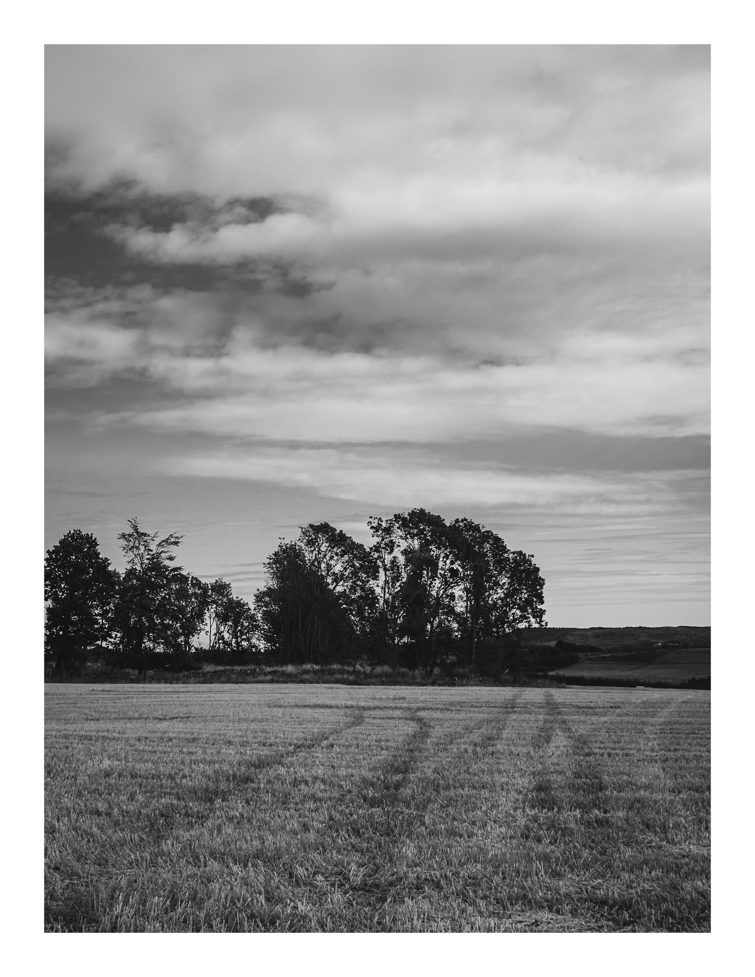 A black and white landscape featuring a recently harvested barley field. In the background, a line of trees is silhouetted against a cloudy sky. Quad tracks are visible in the foreground, leading across the field into the distance.