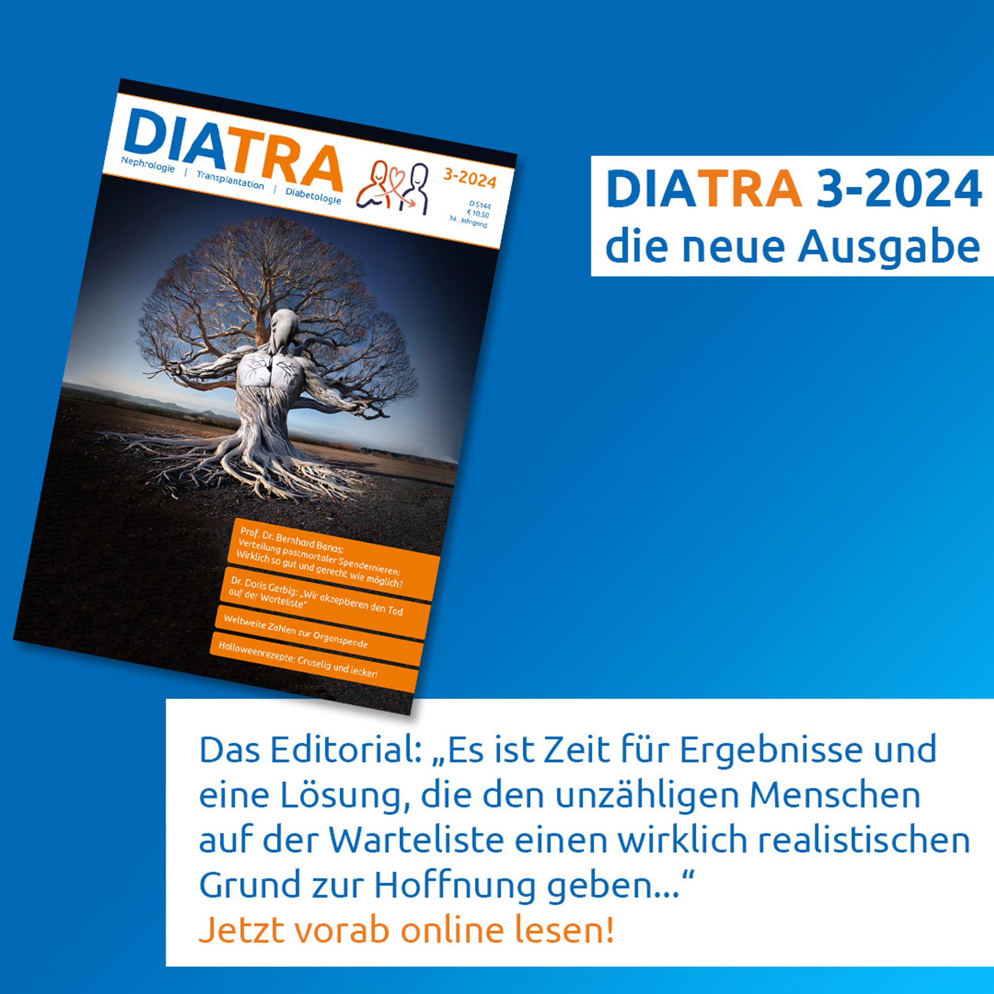 Titelbild der DIATRA 3-2024 mit Ankündigung des Editorials