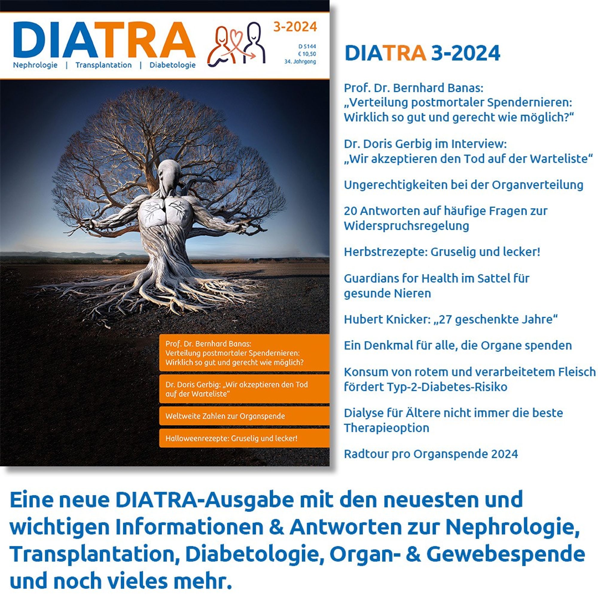 Titelbild der DIATRA-Ausgabe 3-2024, Daneben die Titel der interessantesten Artikel in dieser Ausgabe.