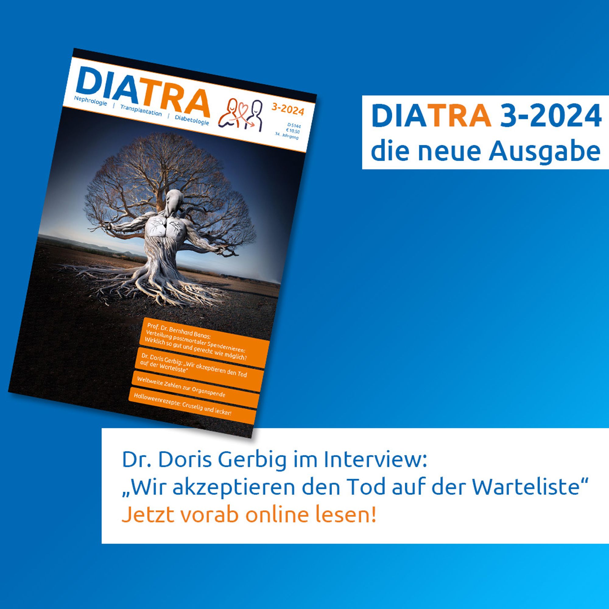 Titelbild der DIATRA 3-2024 mit Ankündigung des Interviews mit Dr. Doris Gerbig