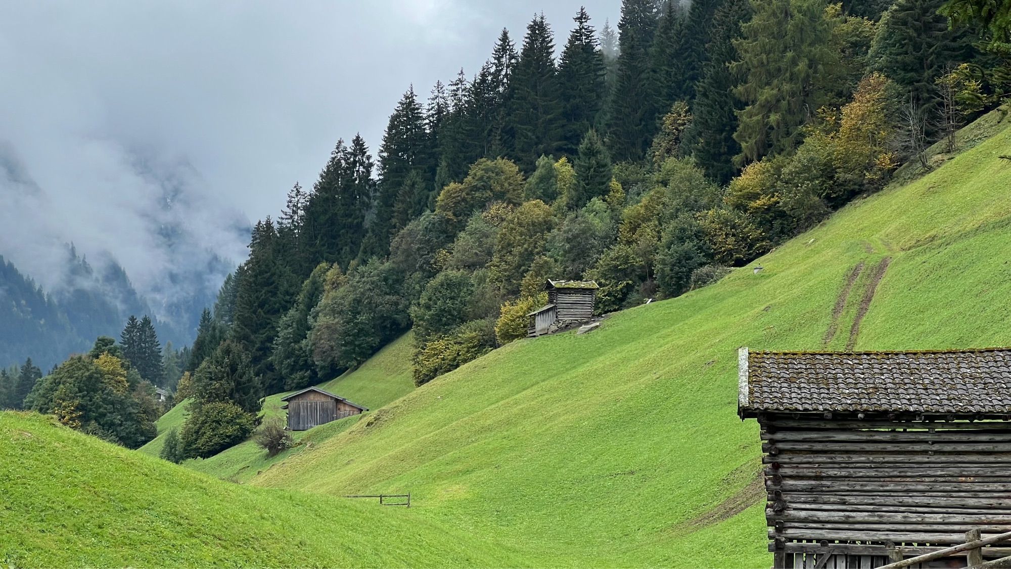 Alpine meadow