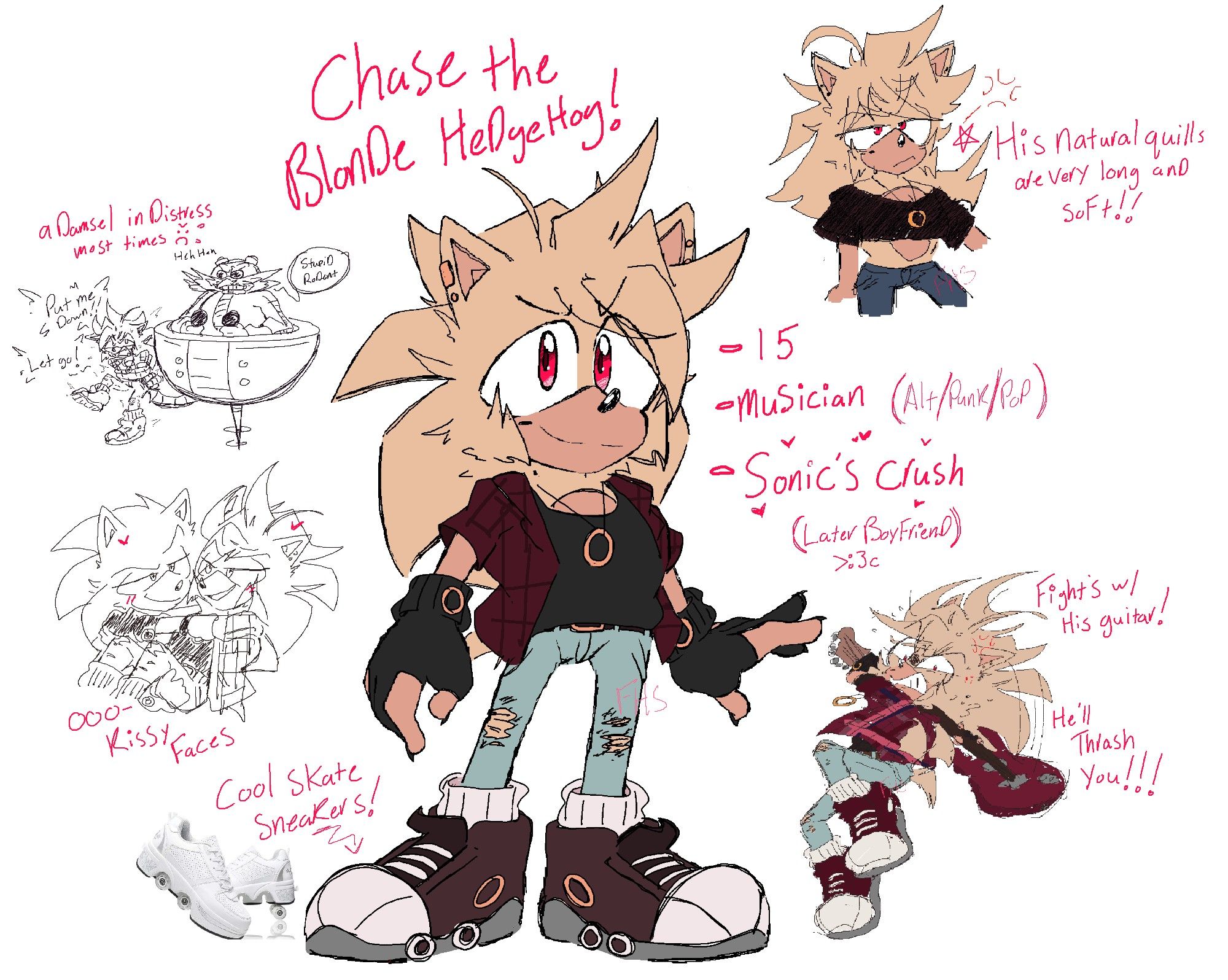 Chase is a blonde hedgehog/cat cross-breed! He plays guitar and violin and has a very sensitive ear for sound! His absolute pitch is a proud talent! 

He meets Sonic after being rescued along with his older brother, and after a few encounters eventually catches on to Sonic's crush on him- >:3c with Amy's help ofc