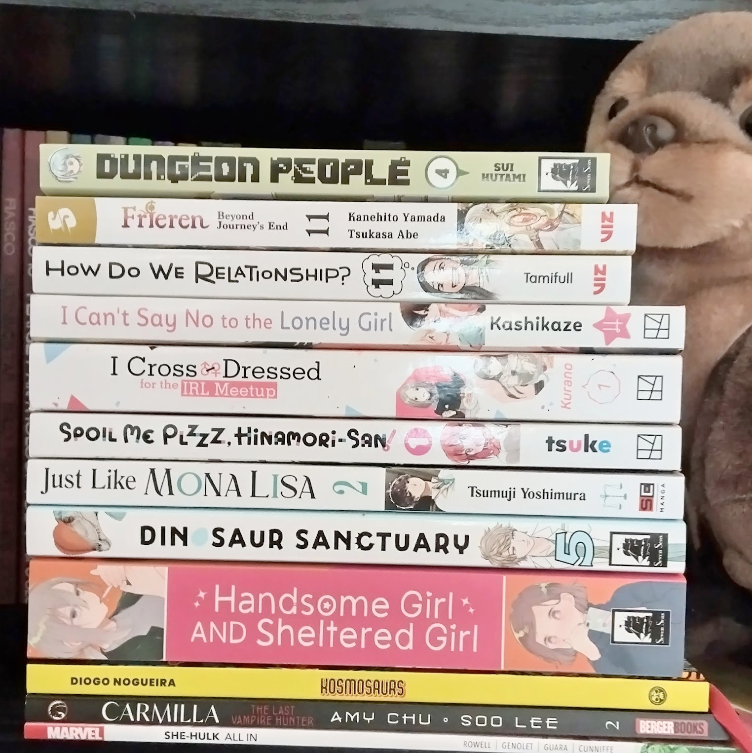 A stack of books, mostly manga. To one side you can see a bit of a cuddly otter.