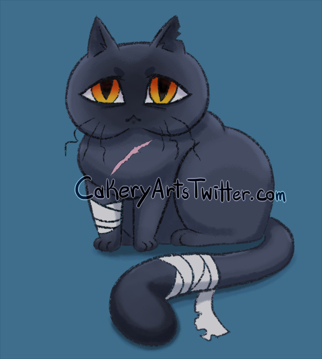 A digital illustration of a round sad looking black tom cat based on the character Blade from Honkai star rail. He has droopy bent whiskers, bandages on his leg and tail, a scar on his chest and tears in his right ear.