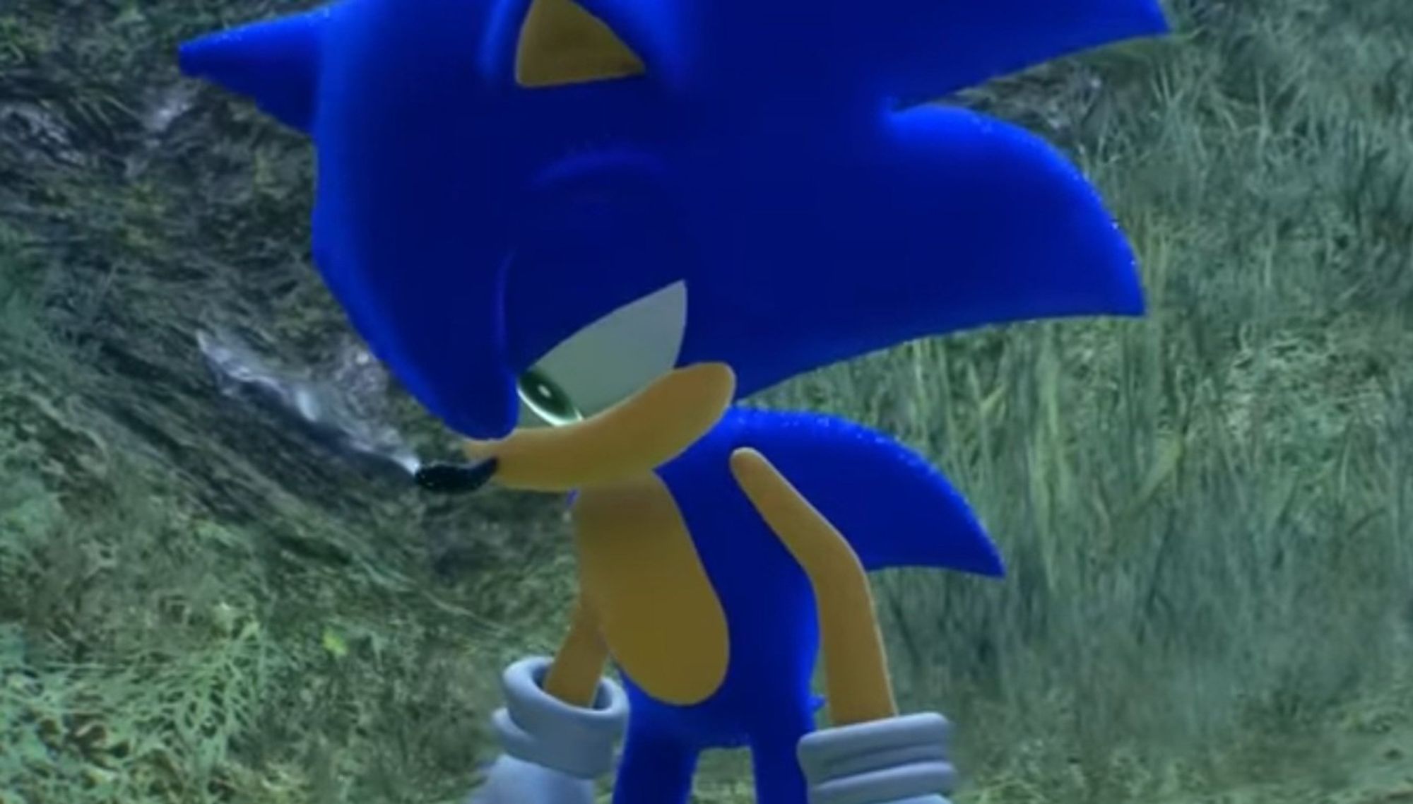 Sonic débout et immobile qui a l'air fatigué.