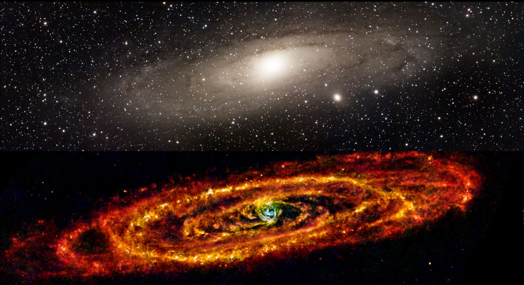 Two images of the Andromeda galaxy one above the other. The top image is in visible light; it's the one I created from images taken with my Seestar S50. The bottom image is in far-infrared light, by ESA's Herschel Space Observatory.