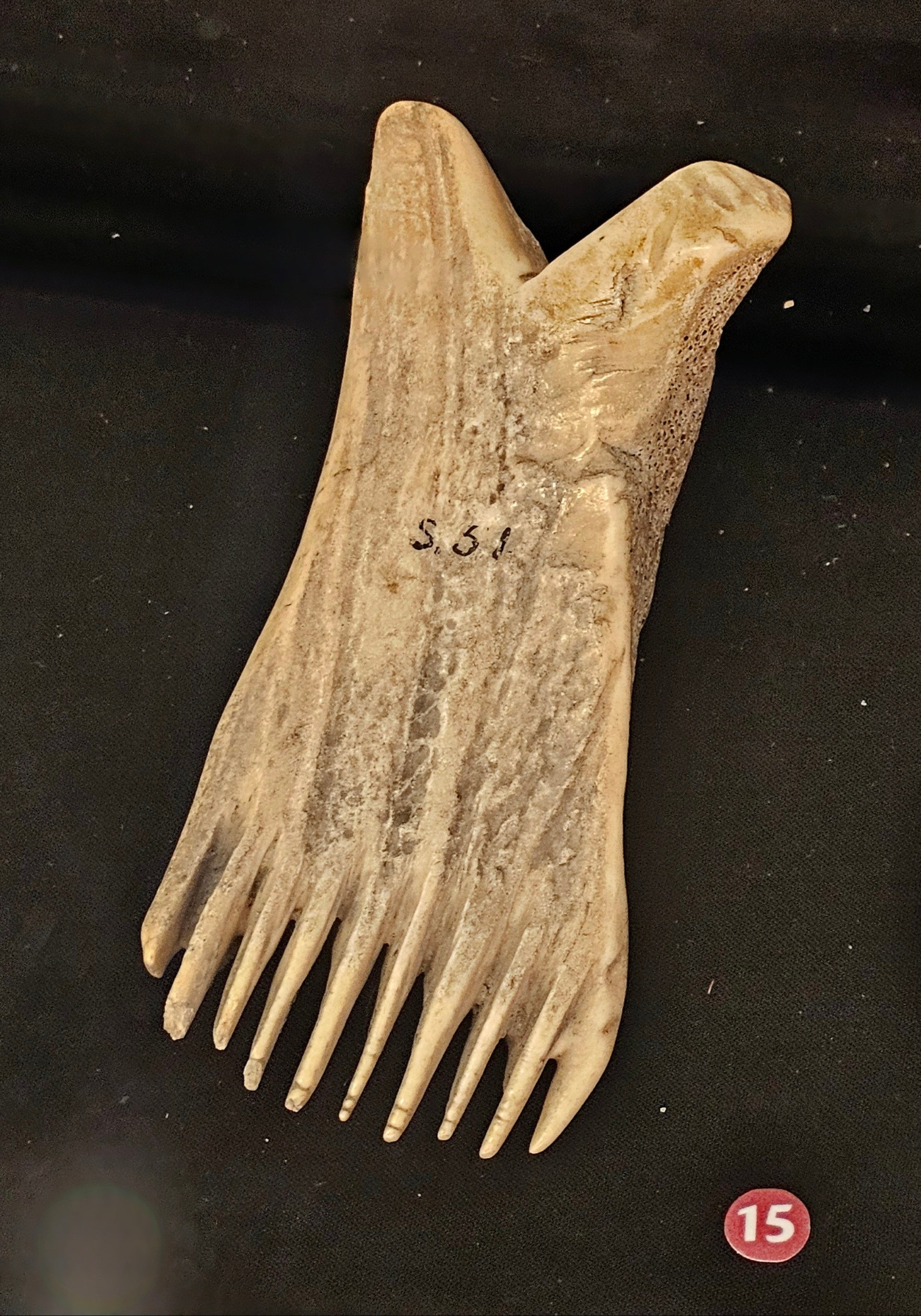 A small bone comb with sharp teeth resting on a black museum stand