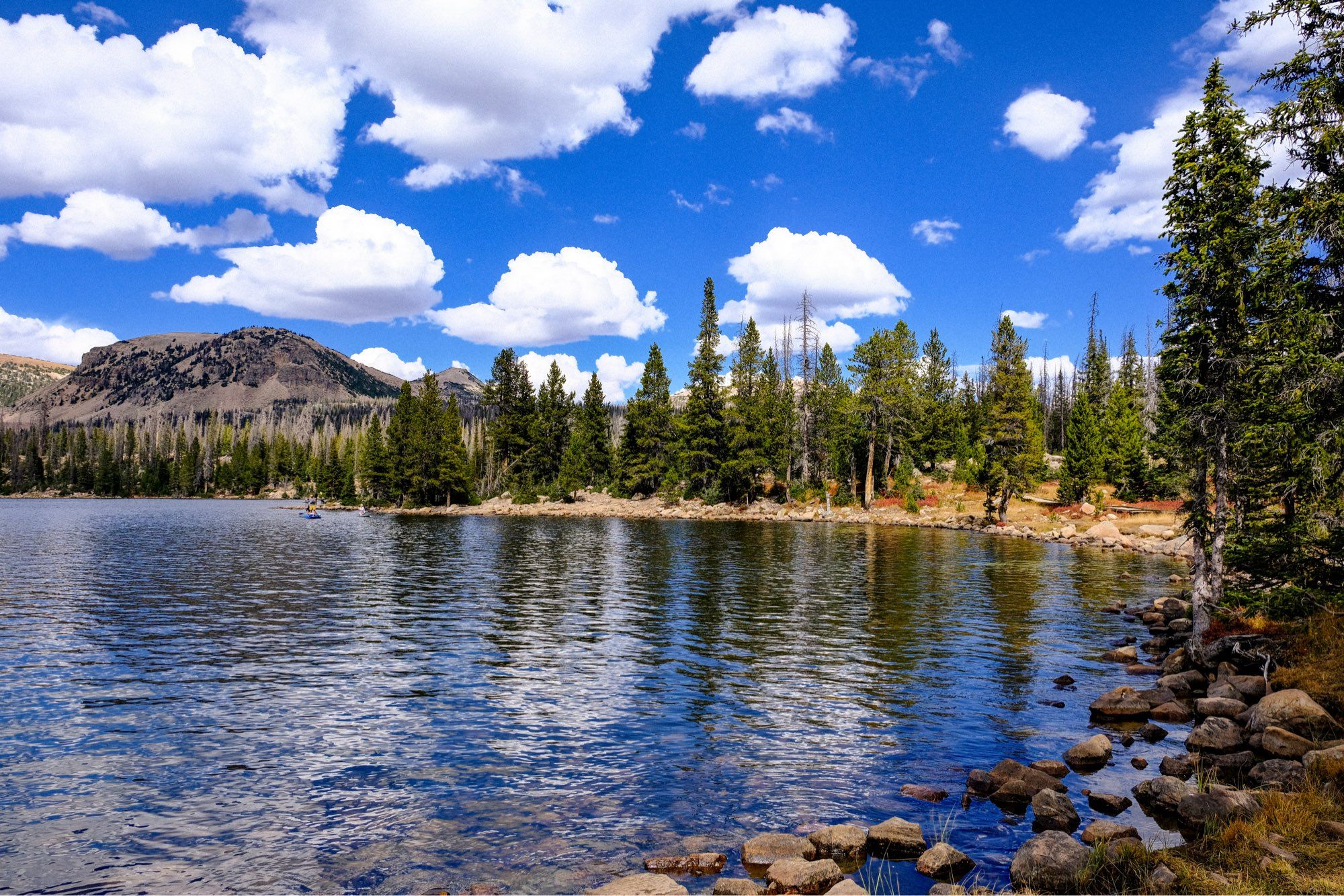 Rocks and evergreen trees line the shore of a lake. There are gray mountains, a blue sky, and fluffy white clouds in the background.