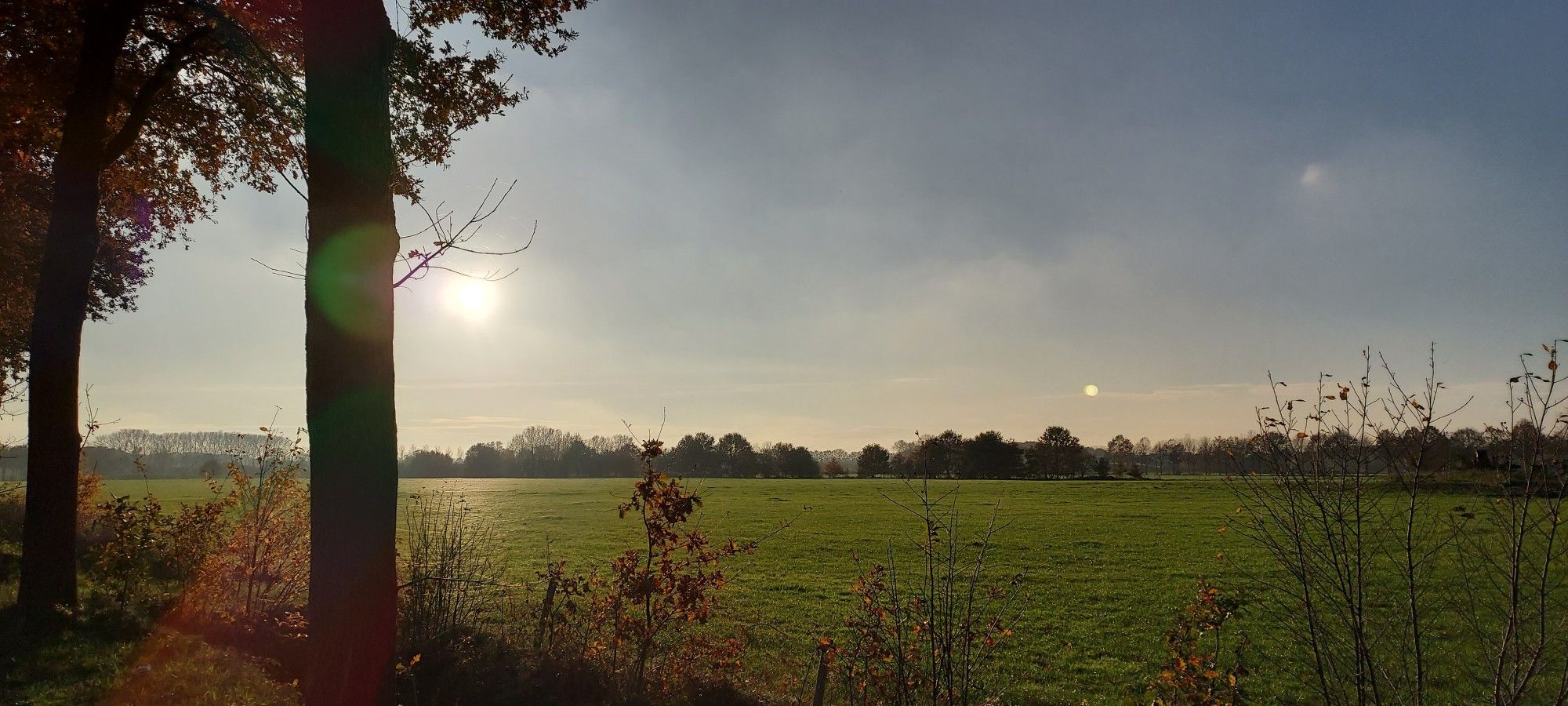 Weiland met ietsje nevel erboven. Aam de horizon bomenrij, links 2 bomen met bruine bladeren en wat struiken. Rechts van de rechter boom de zon door de wolken heen. De lucht is blauw grijs.