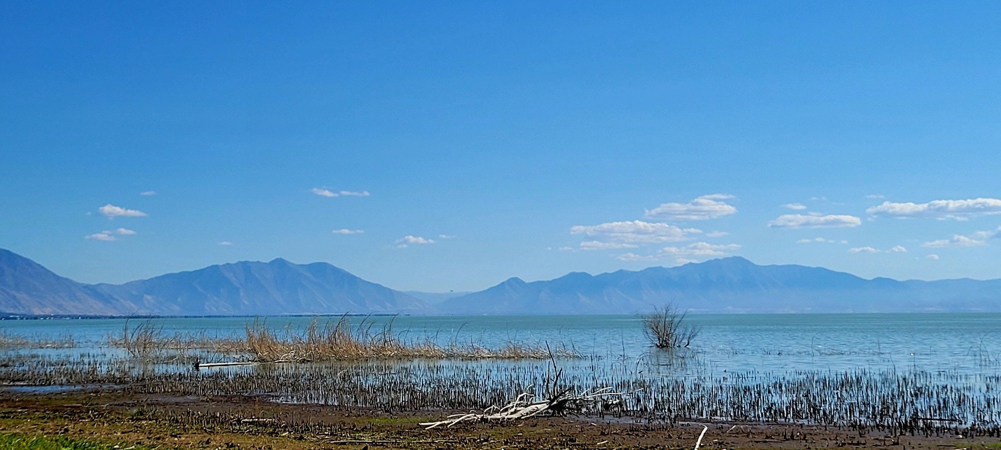 Lakeshore with mountain range in the background ©AVM 2024 Utah Lake