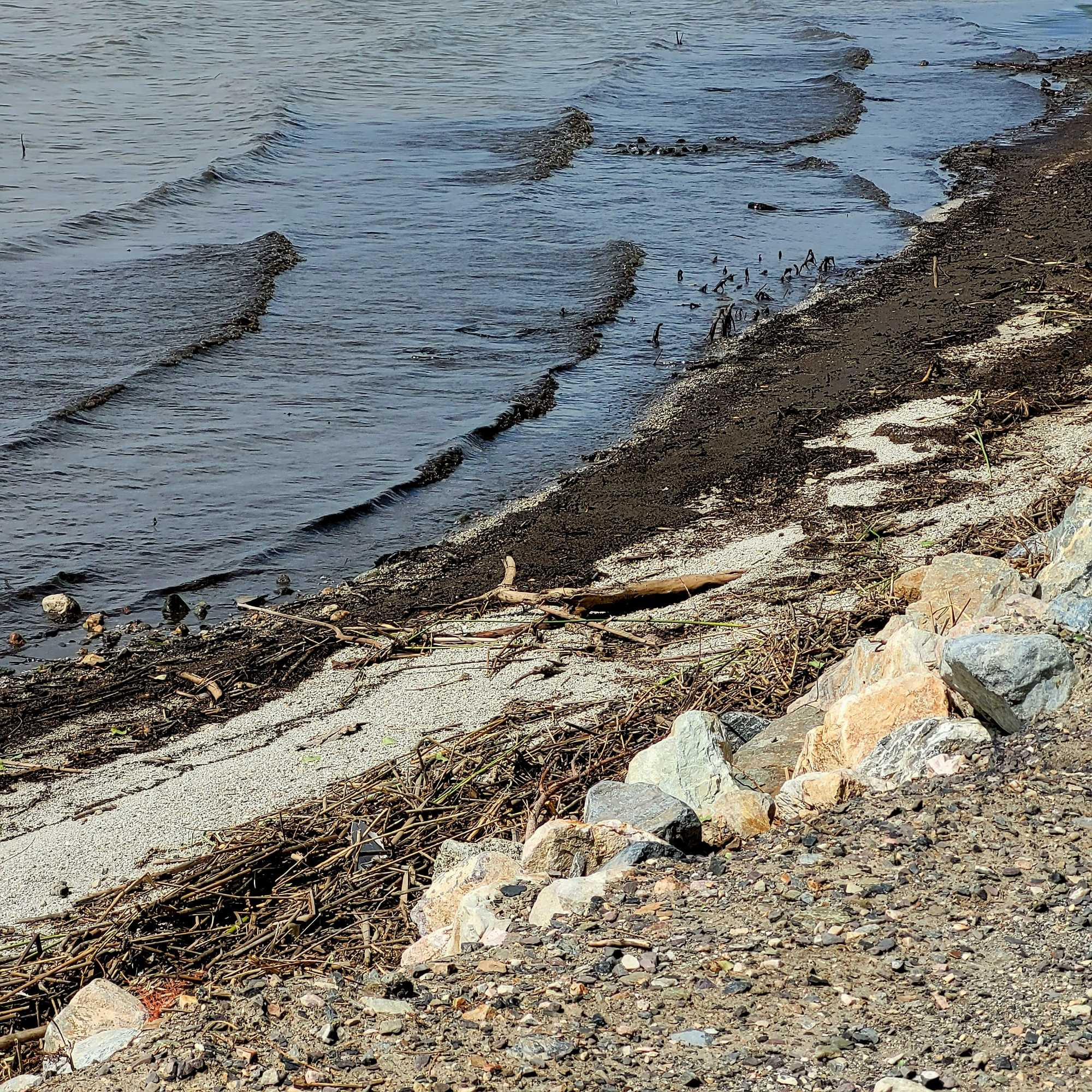 Waves hitting the shoreline #utahlake ©AVM 2024