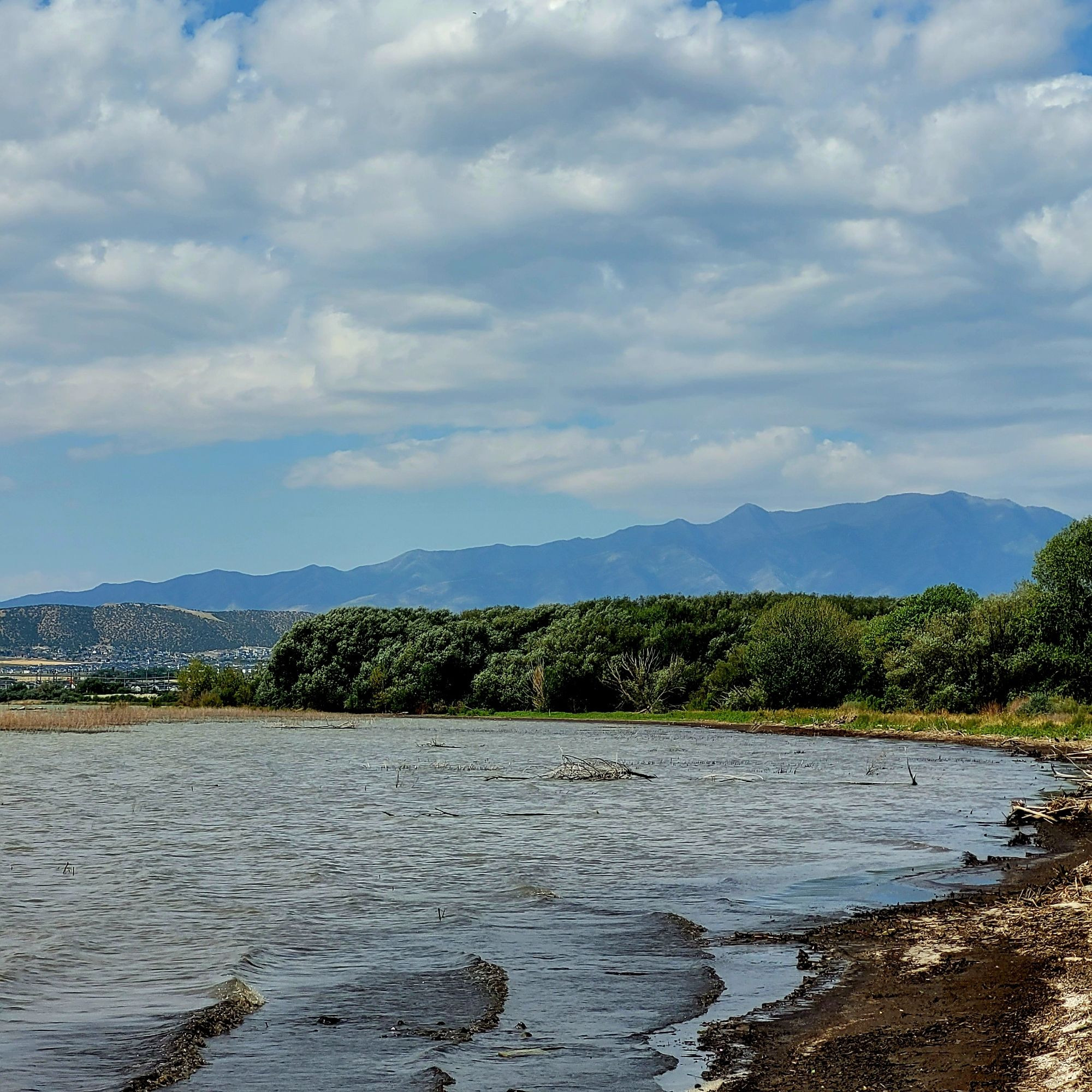 Cloudy sky. Mountains. Treeline. Lake. Shoreline. #utahlake ©AVM 2024