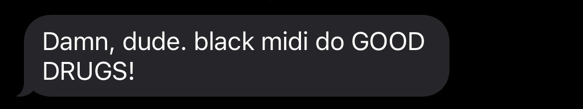 text from my dad saying "damn dude. black midi did good drugs"