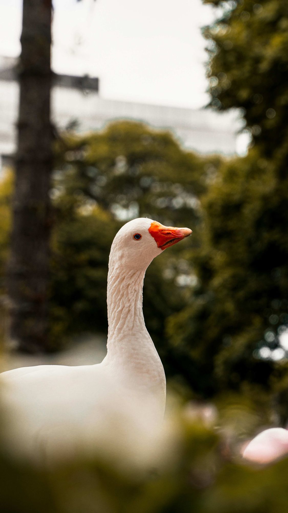 Frase com imagem de banheiro público da Unsplash