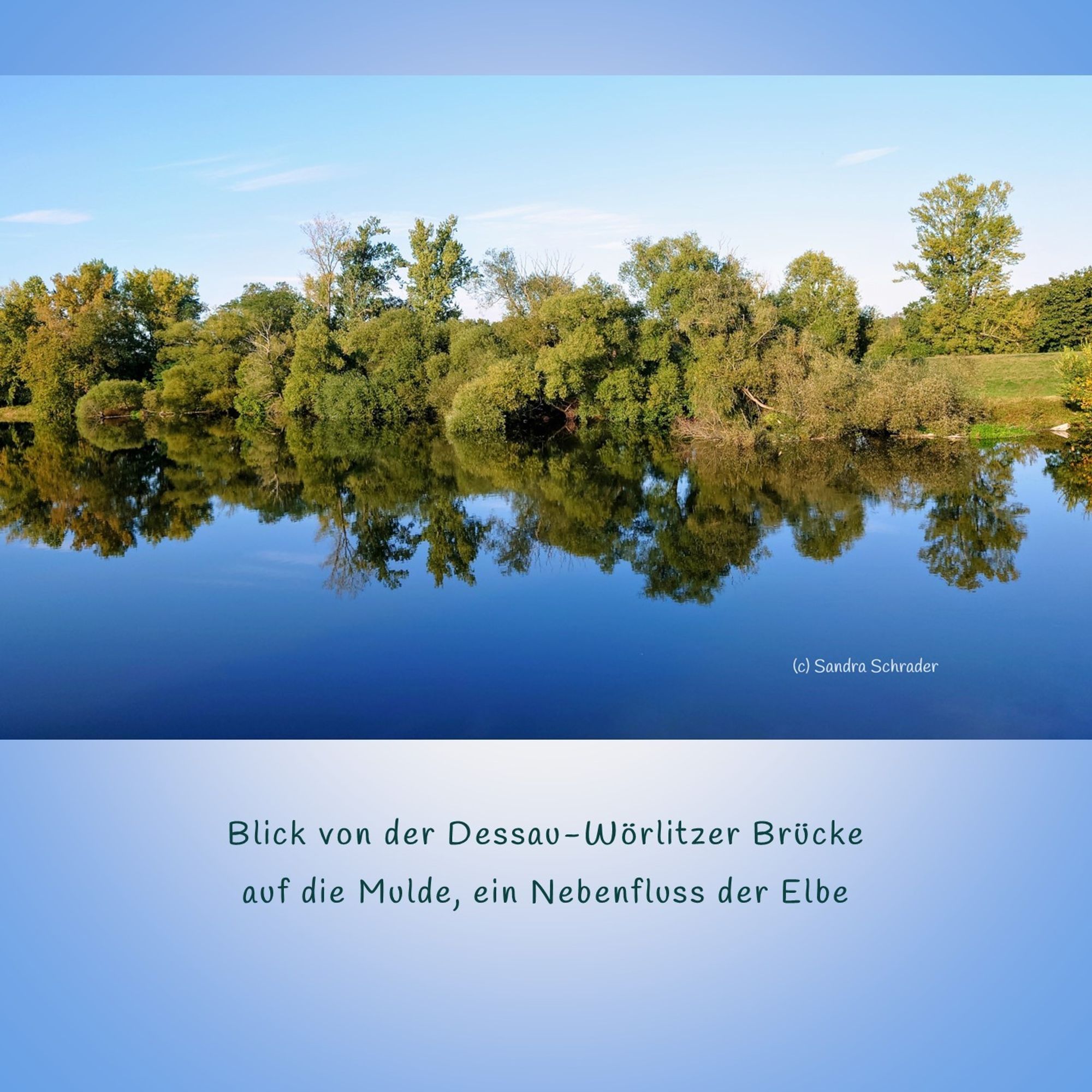 Vor blauem Hintergrund ein Foto mit dem Untertitel: Blick von der Dessau-Wörlitzer Brücke auf die Mulde, ein Nebenfluss der Elbe. Das Foto zeigt im dunkelblauen Wasser die klare und ruhige Reflexion der Büsche und Bäume am Ufersaum, welcher parallel zum Bildrand verläuft, sodass das Bild wie in der Mitte gespiegelt wirkt. Der Himmel ist hellblau und trägt nur ein paar wenige dezente Wolkenstrukturen.