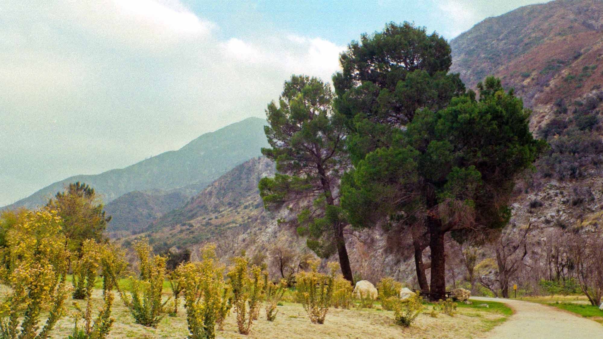 Angeles National Forest in Los Angeles, California.